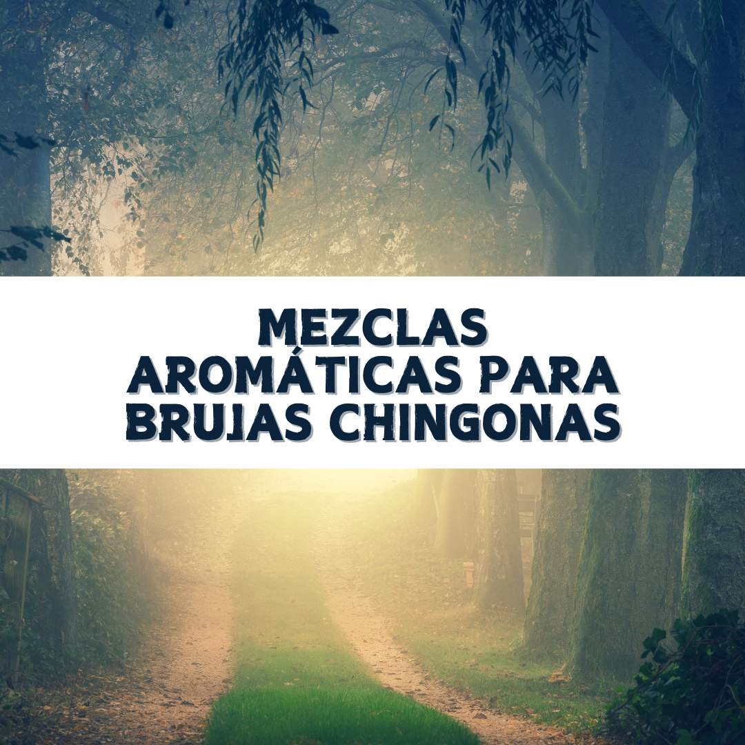 Mezclas Aromáticas Para Brujas Chingonas (libro digital)