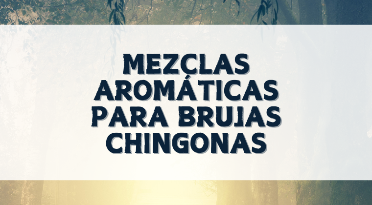 Brujas Blog Image Spanish.png