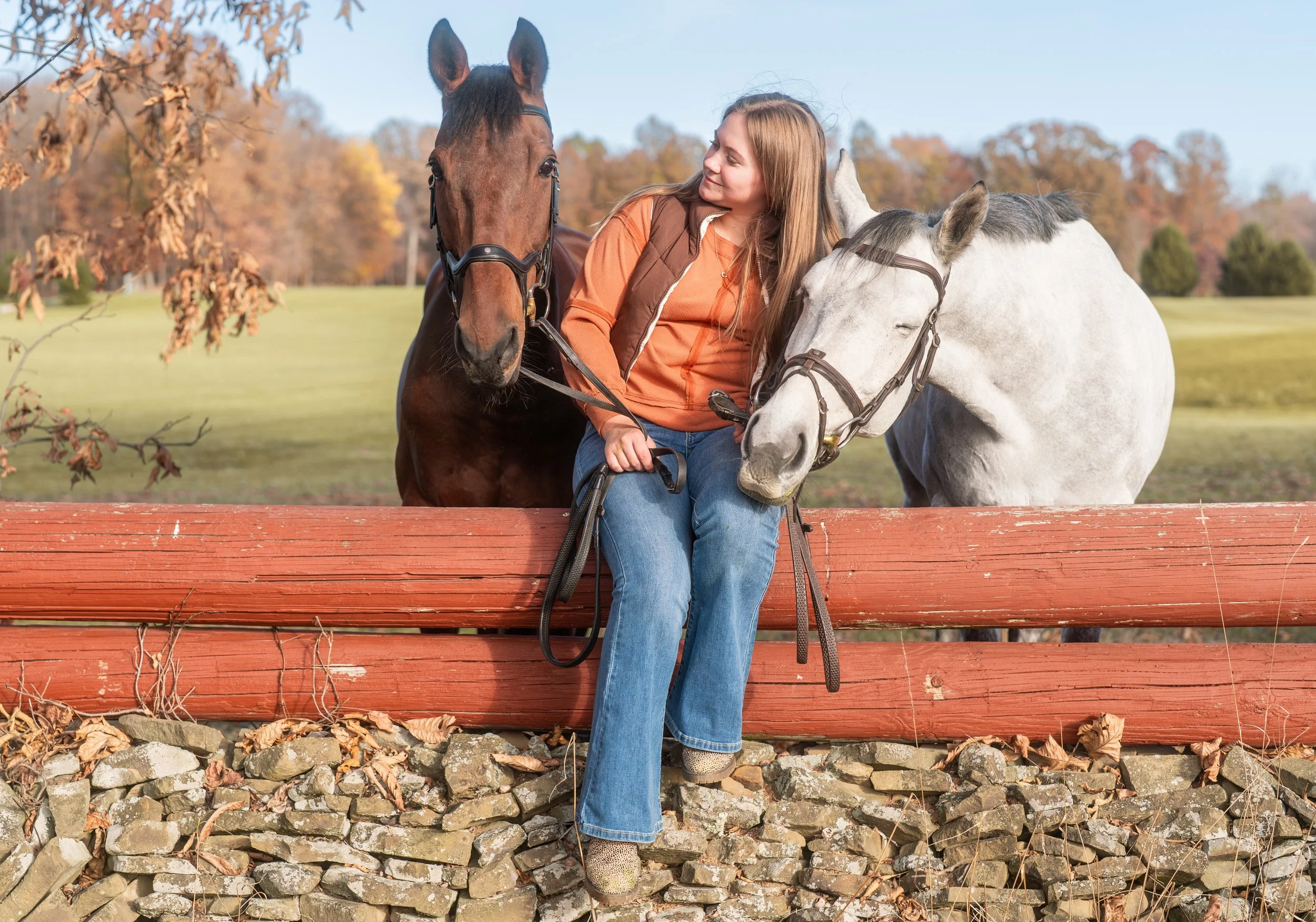 A woman sitting on a wooden and stone fence, holding the reins of two horses, one brown and one white, with a park and trees in the background during autumn.