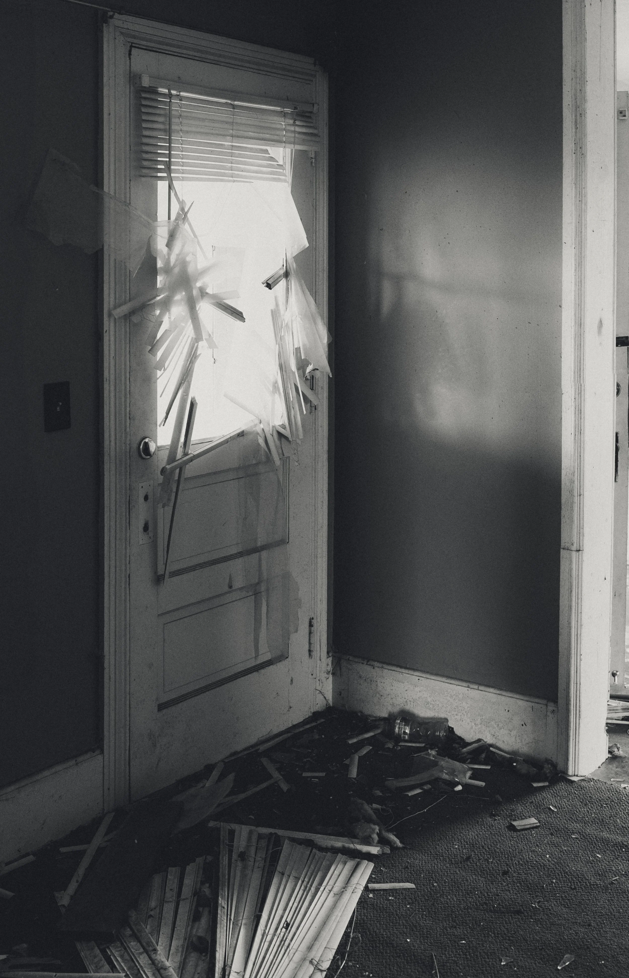 A broken door with shattered window glass, debris and broken pieces on the floor, and a small animal, possibly a cat, lying among the wreckage.