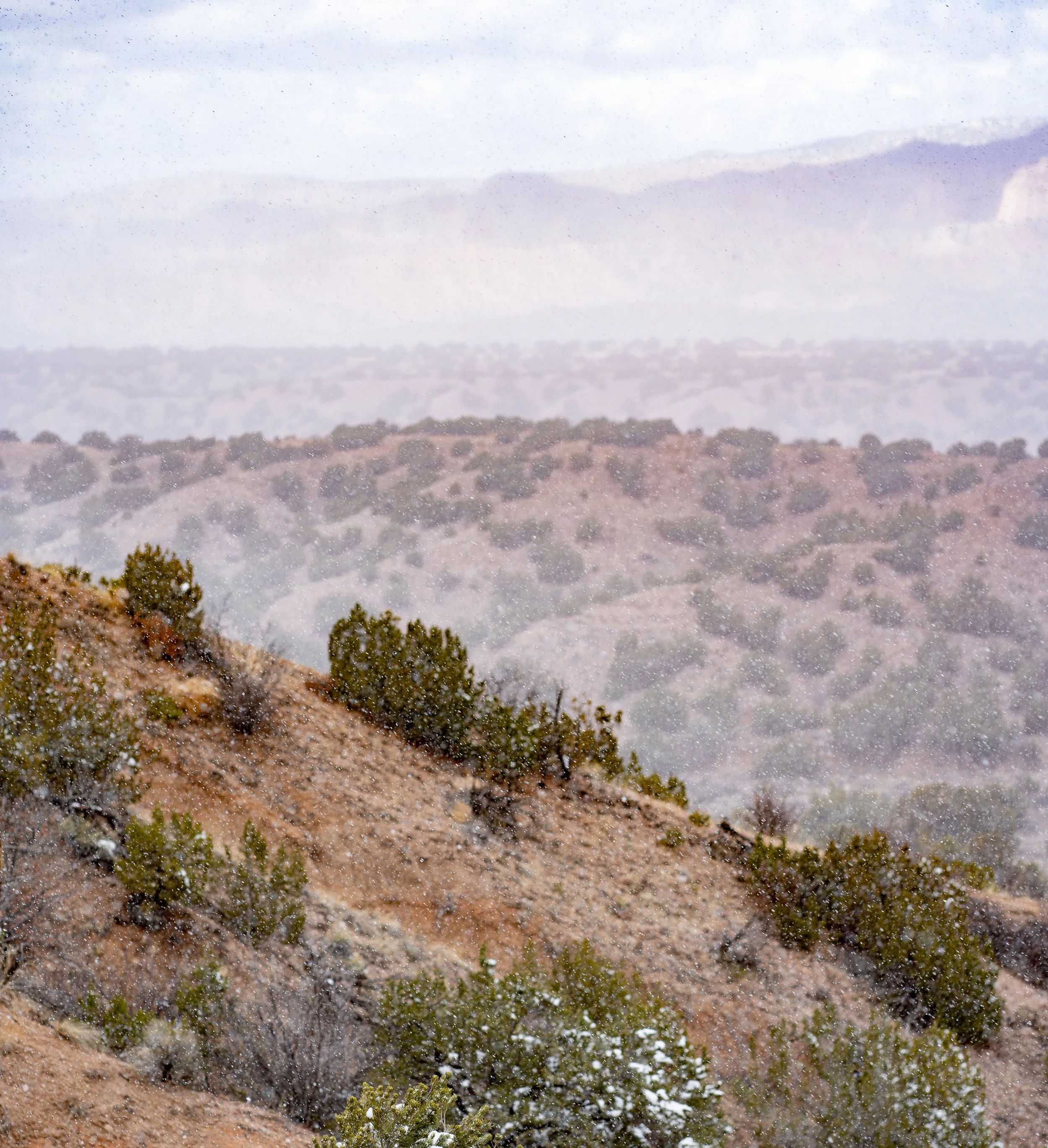 A landscape view of desert hills with sparse vegetation, trees, and a distant mountain range with light snowfall.