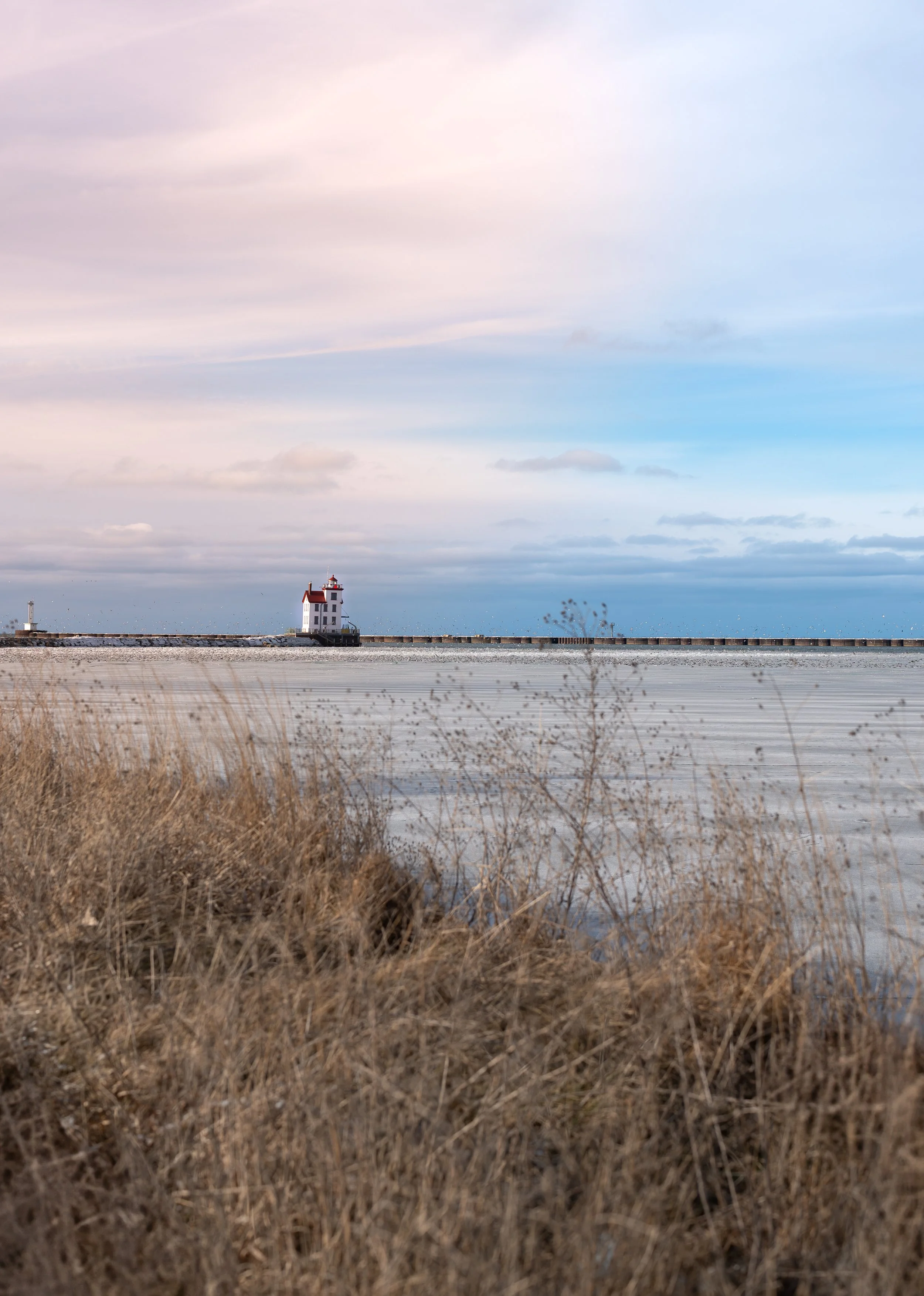 A lighthouse on a breakwater by the water, with dry grasses in the foreground and a cloudy sky above.