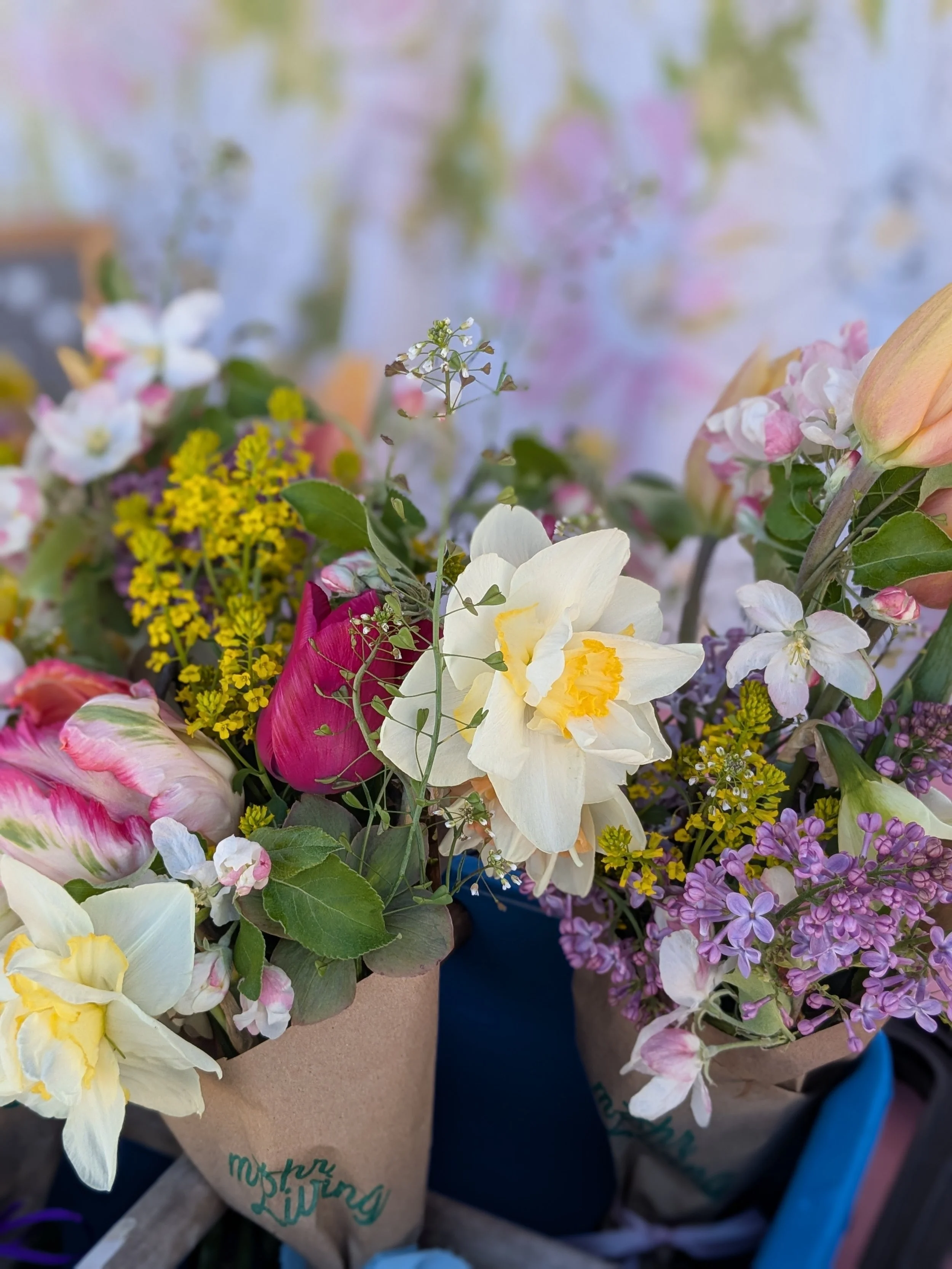 PXL_20250509_125858240.PORTRAIT (1).jpg