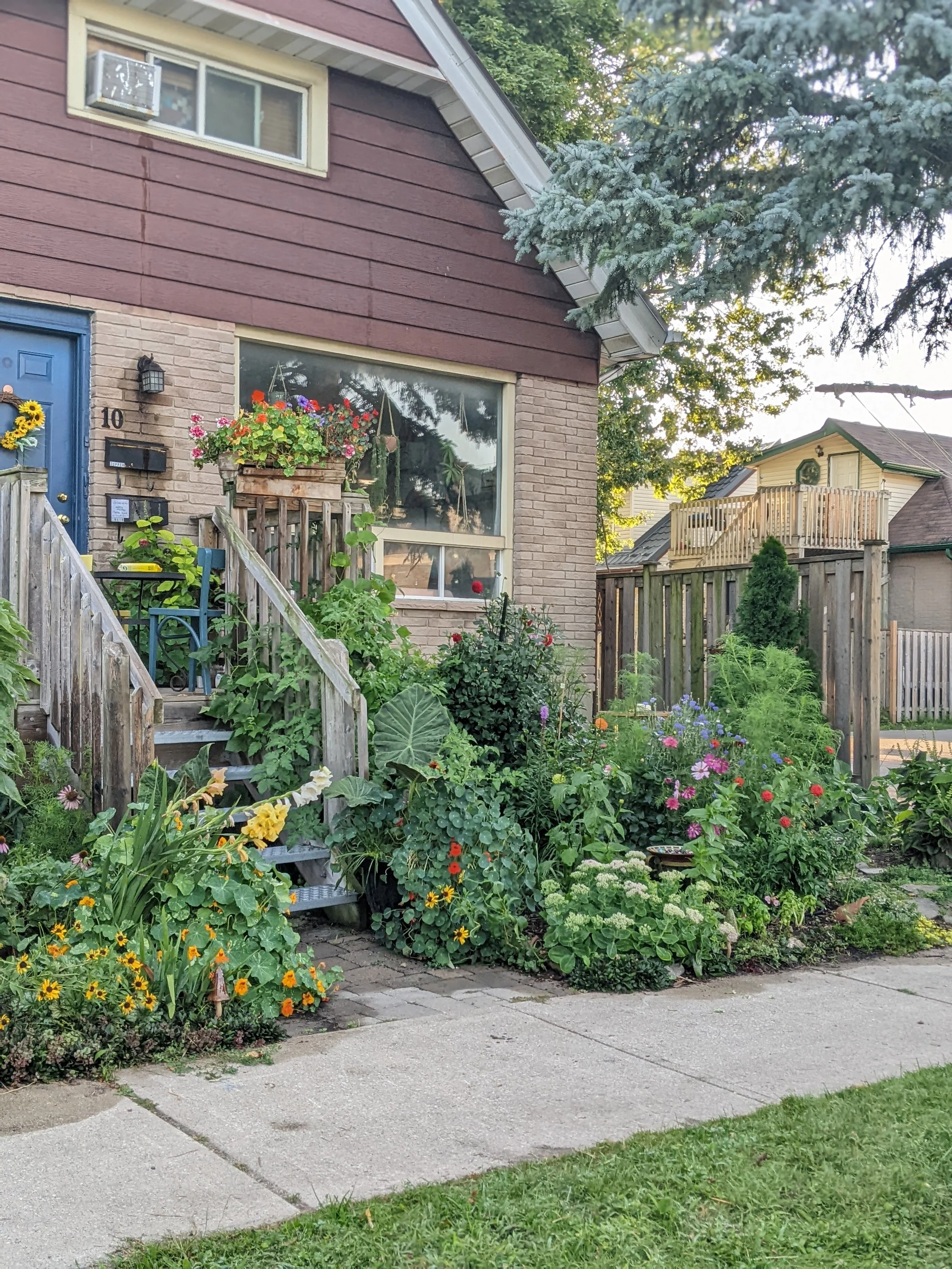 Workshop Starting a Cut Flower Garden