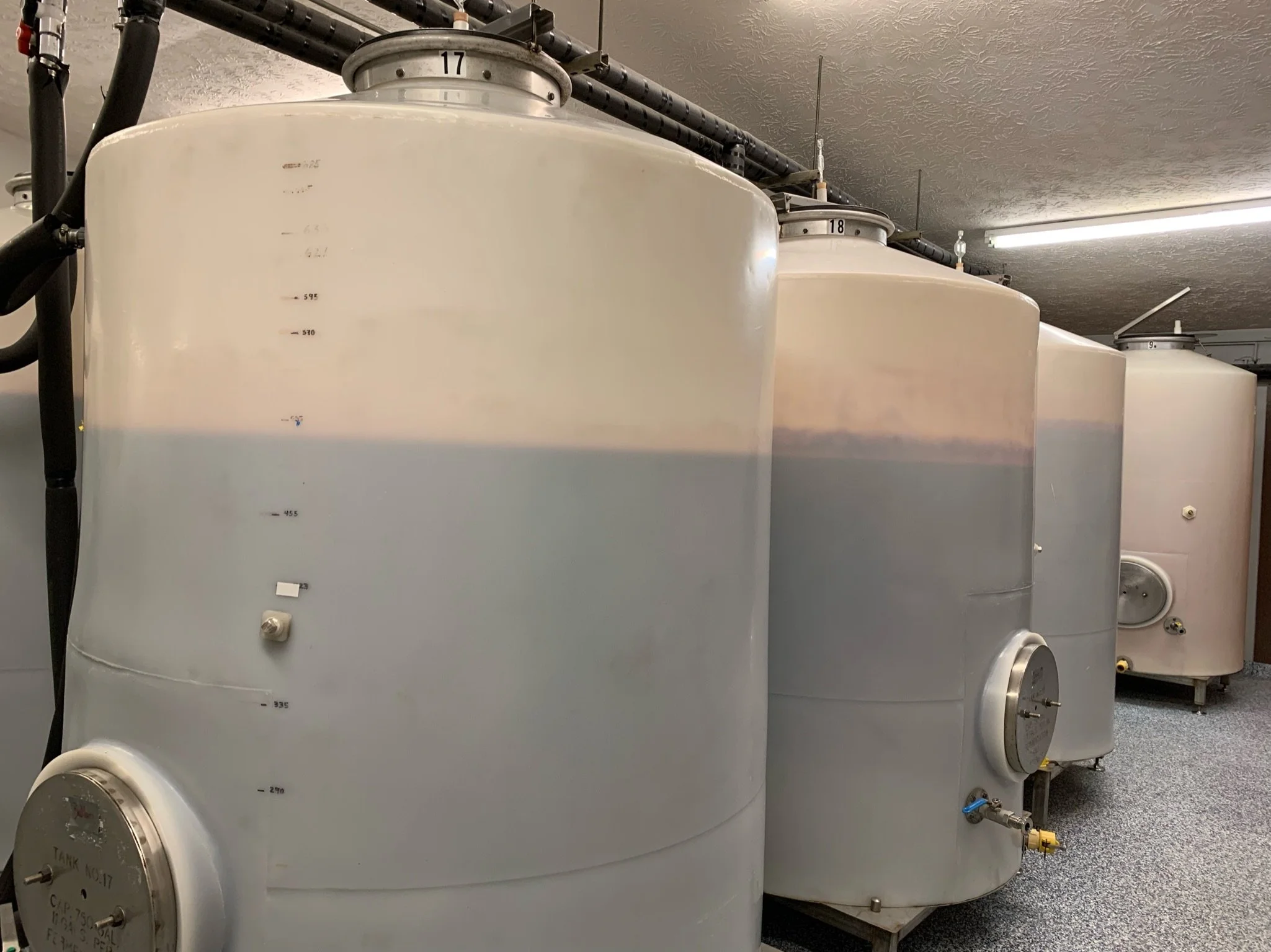 Making Stonehaus Wines