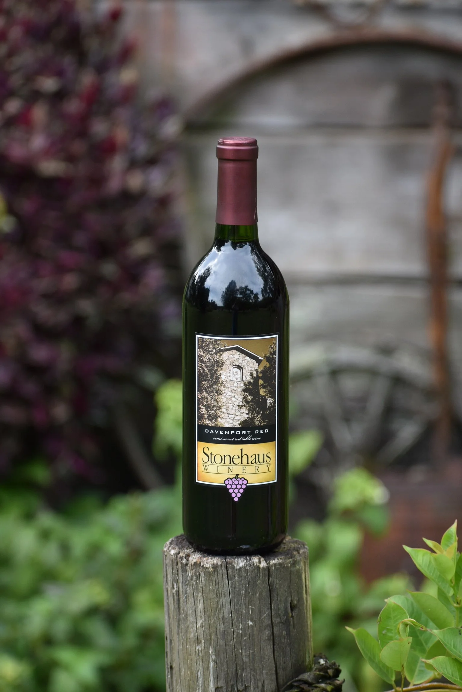 What Is the Best Wine to Gift for Every Occasion? (And How to Choose the Right One)