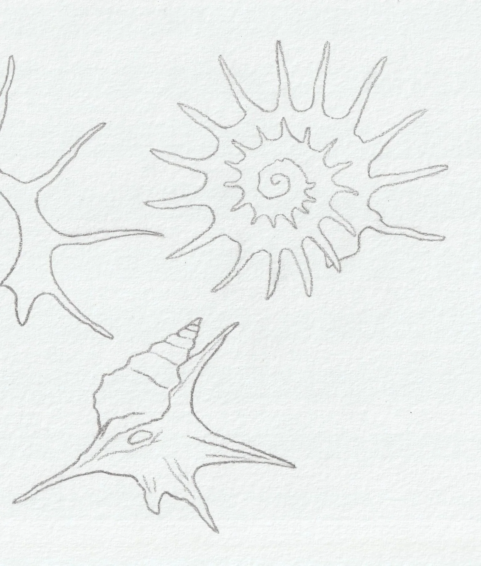 Scan_20260326+%284%29.jpg