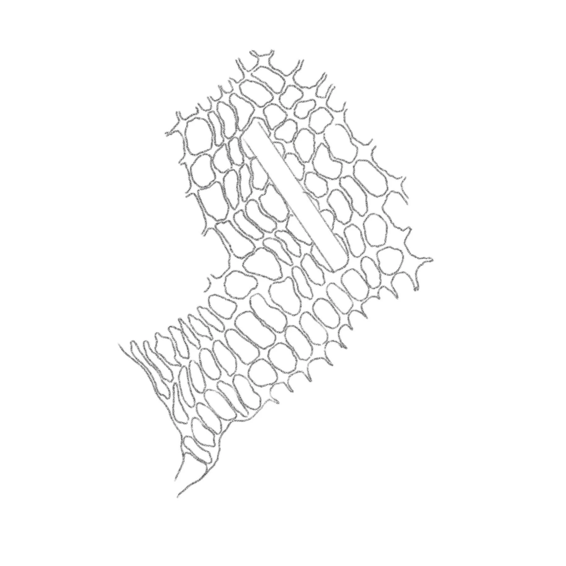 Flash_web.jpg