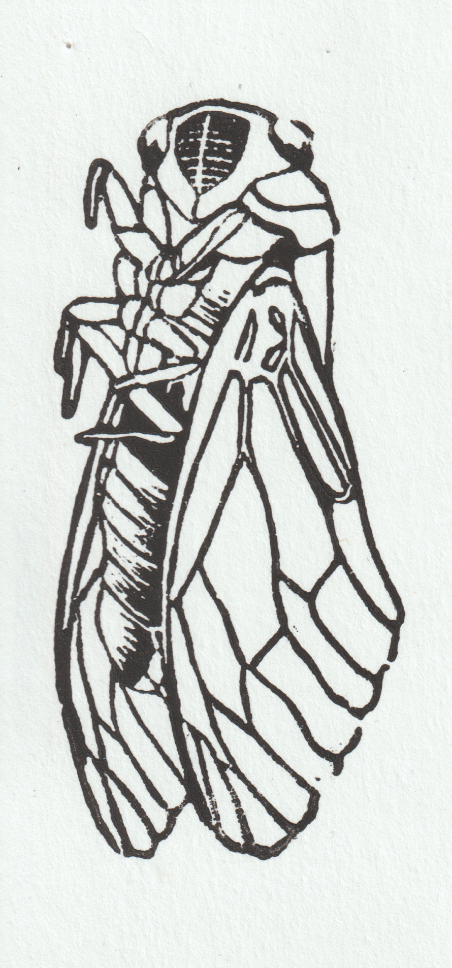 Scan_20230814 (3).png