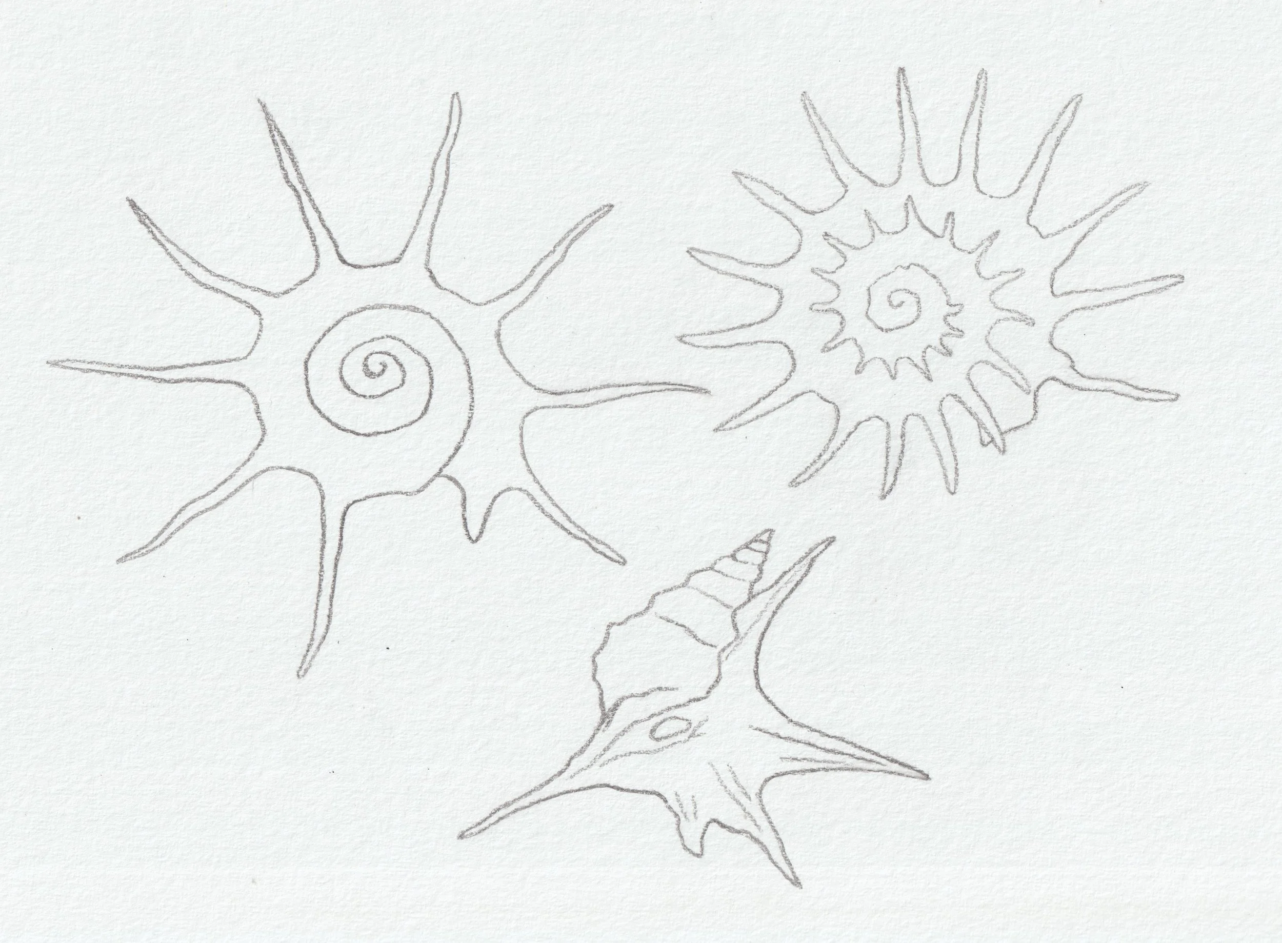 Scan_20260326 (4).jpg