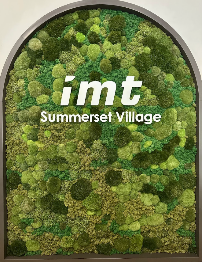 IMT Green Wall 2.png