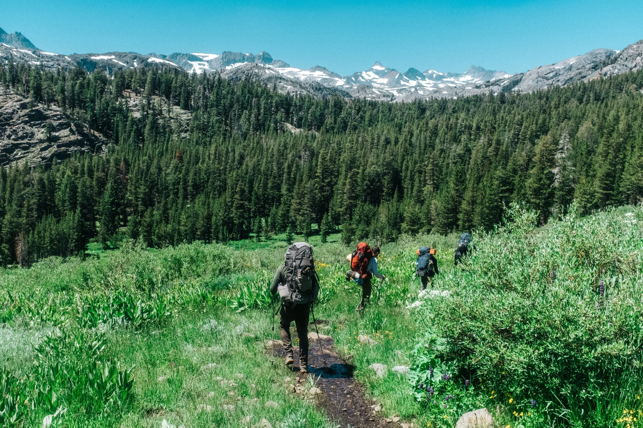 Ansel Adams Wilderness 2023