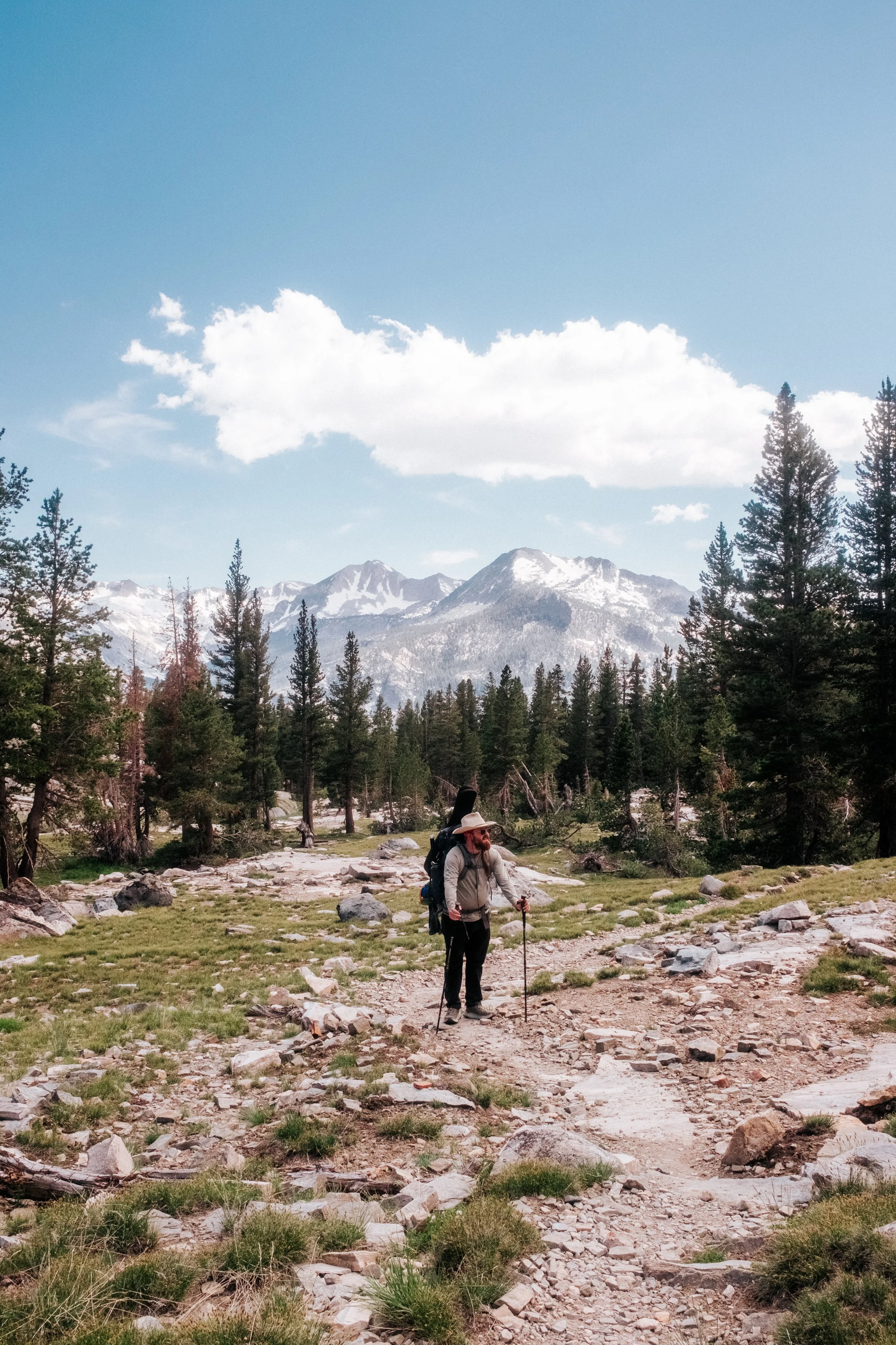 Ansel Adams Wilderness 2024