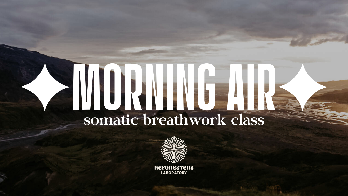 ✦︎ MORNING AIR ✦︎ Breathwork Class