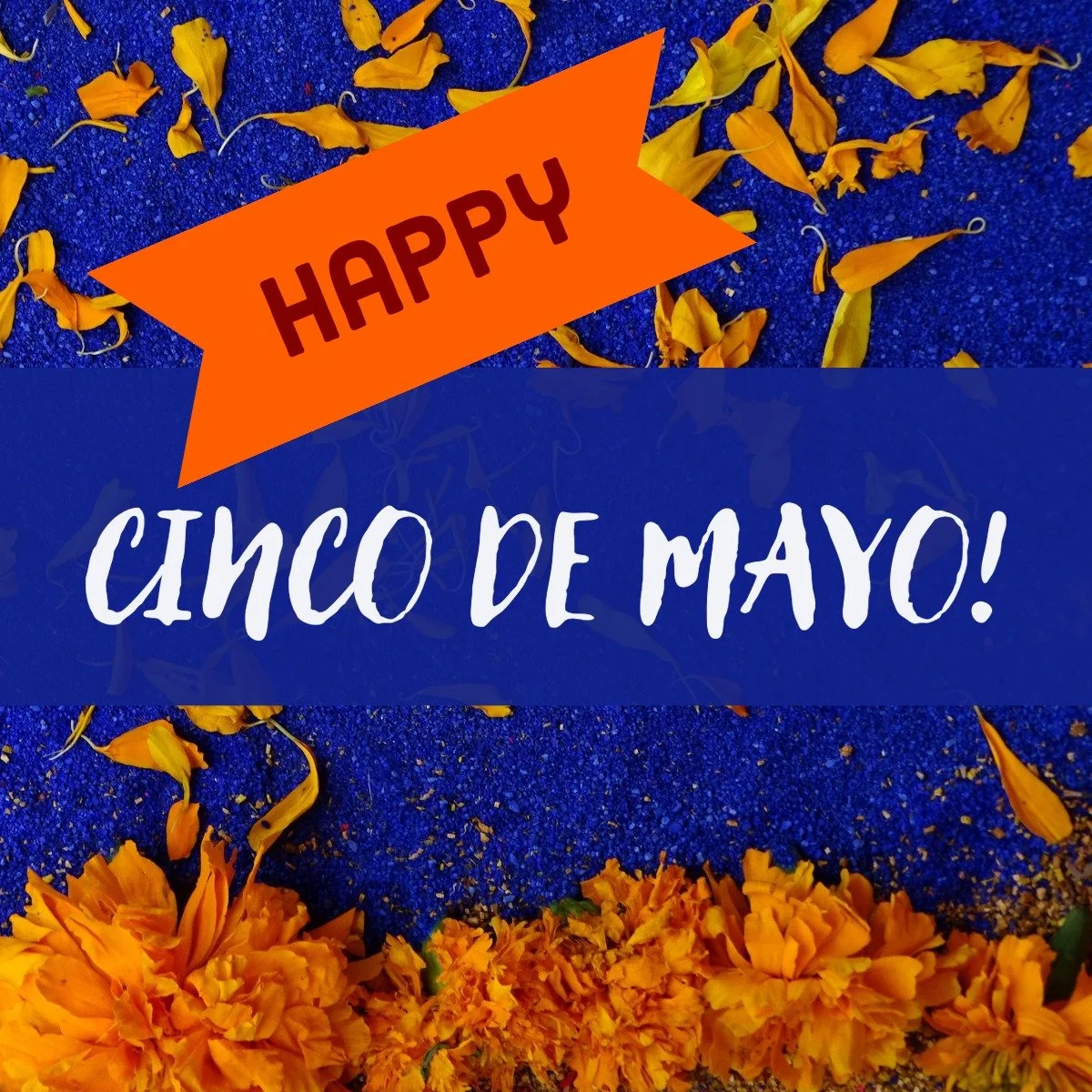 Happy Cinqo de Mayo! &iexcl;Feliz Cinco de Mayo!