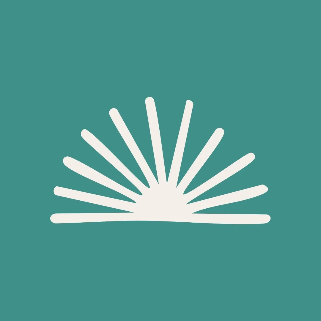 White stylized sunburst graphic on a teal background.