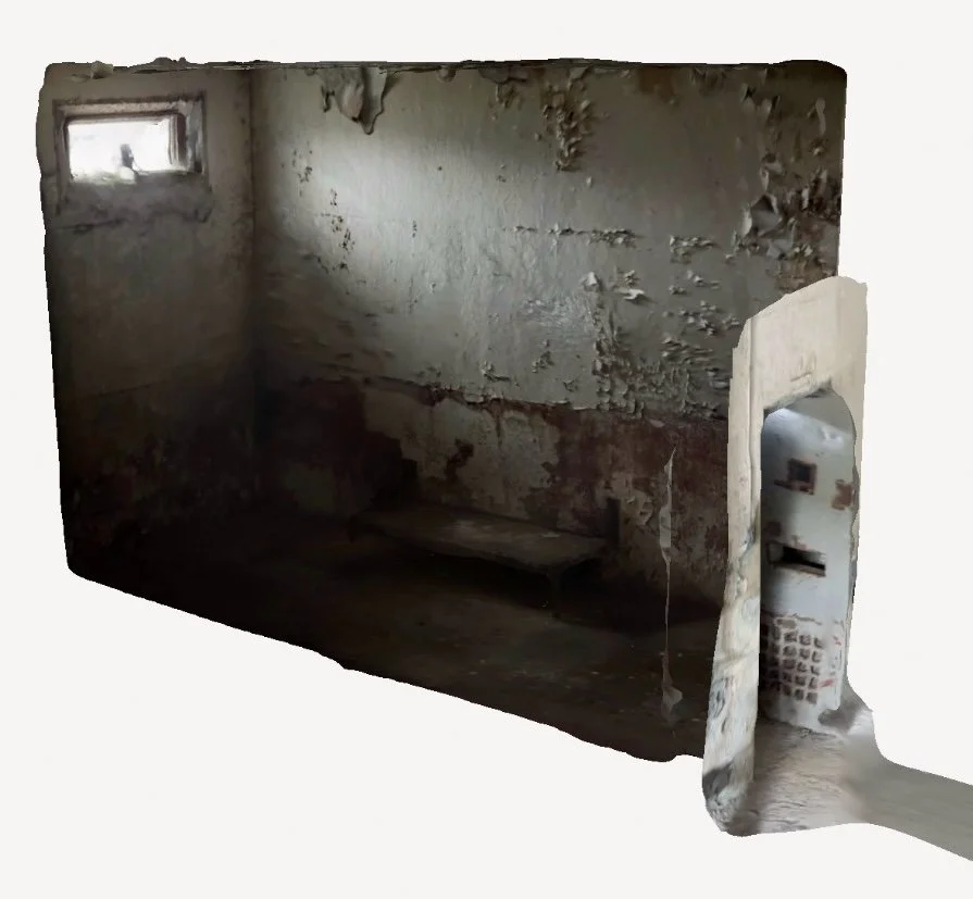 poly-snapshot 12.jpg