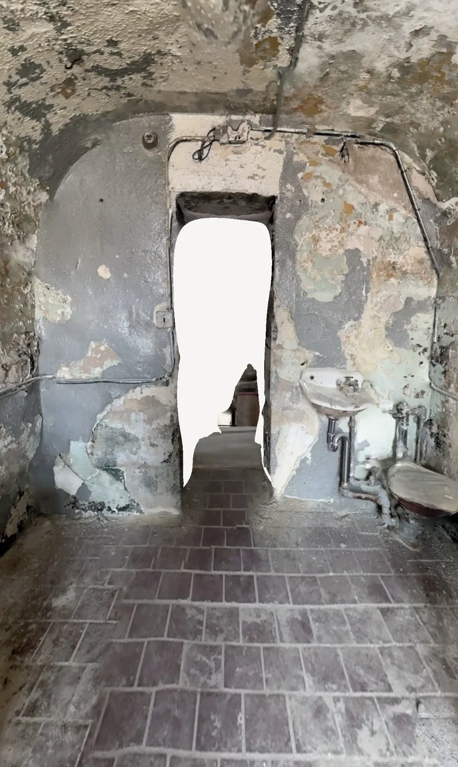 poly-snapshot 17.jpg