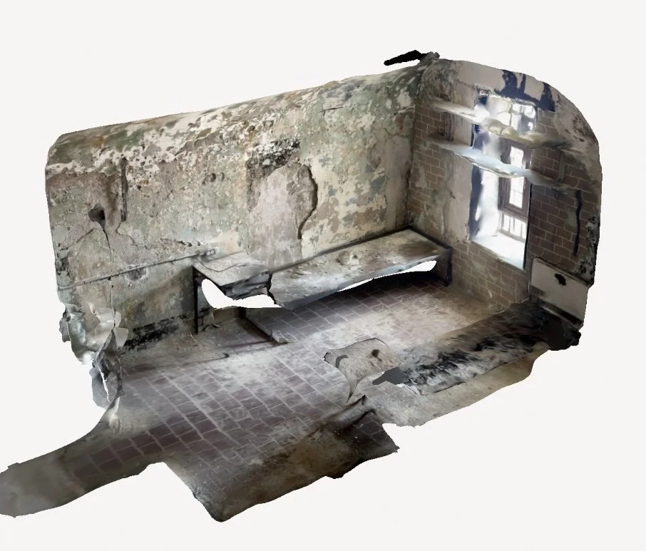 poly-snapshot 14.jpg