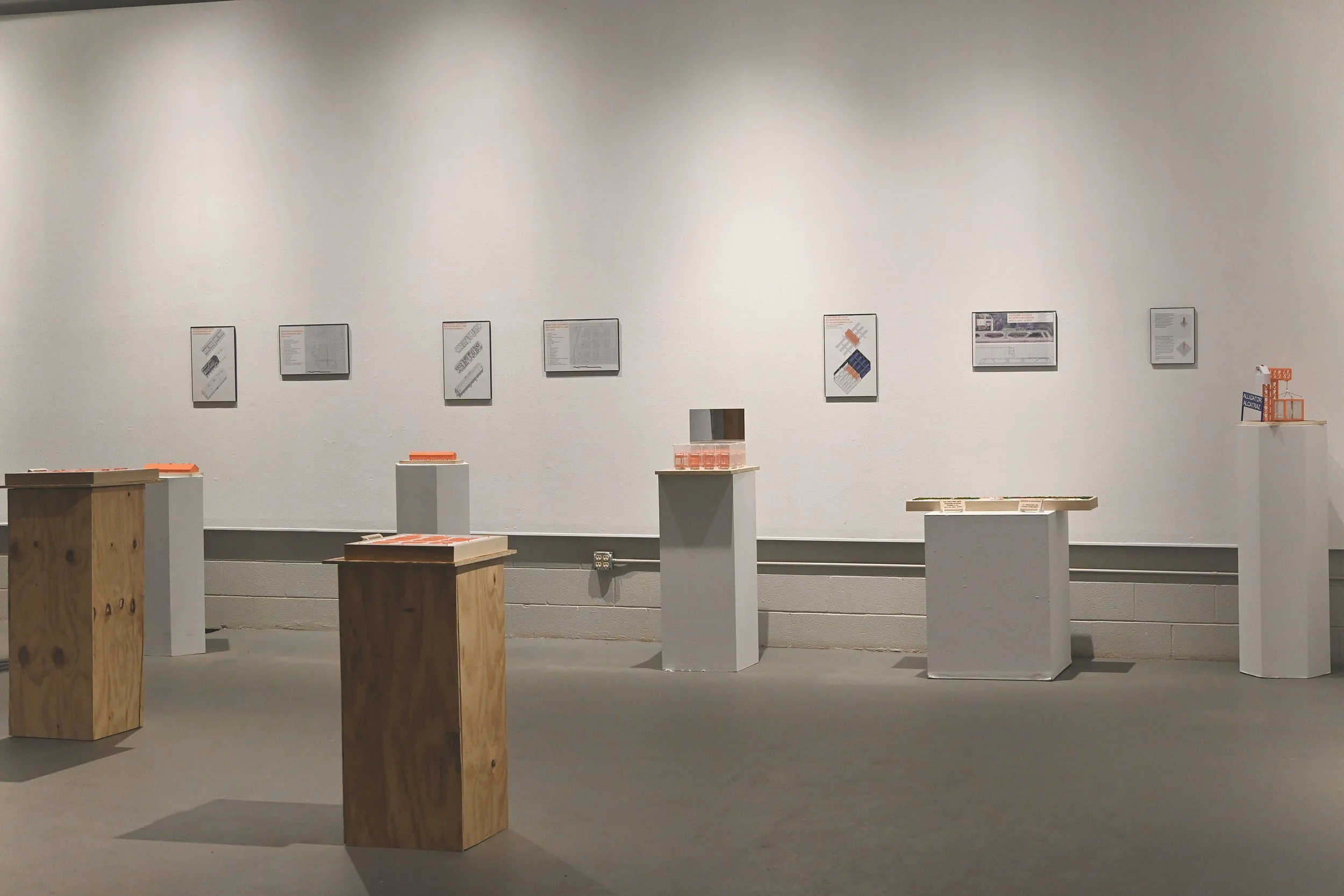 20250731_030550290_iOS 1.jpg