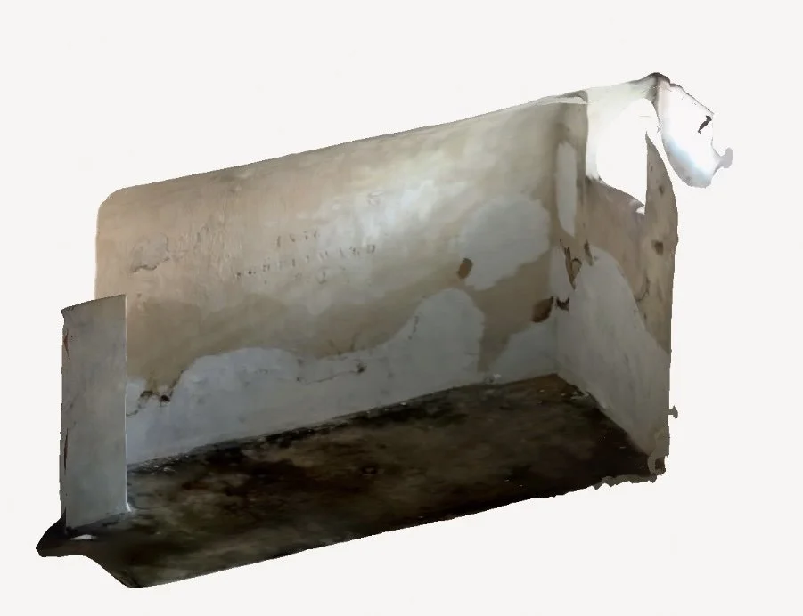 poly-snapshot 13.jpg