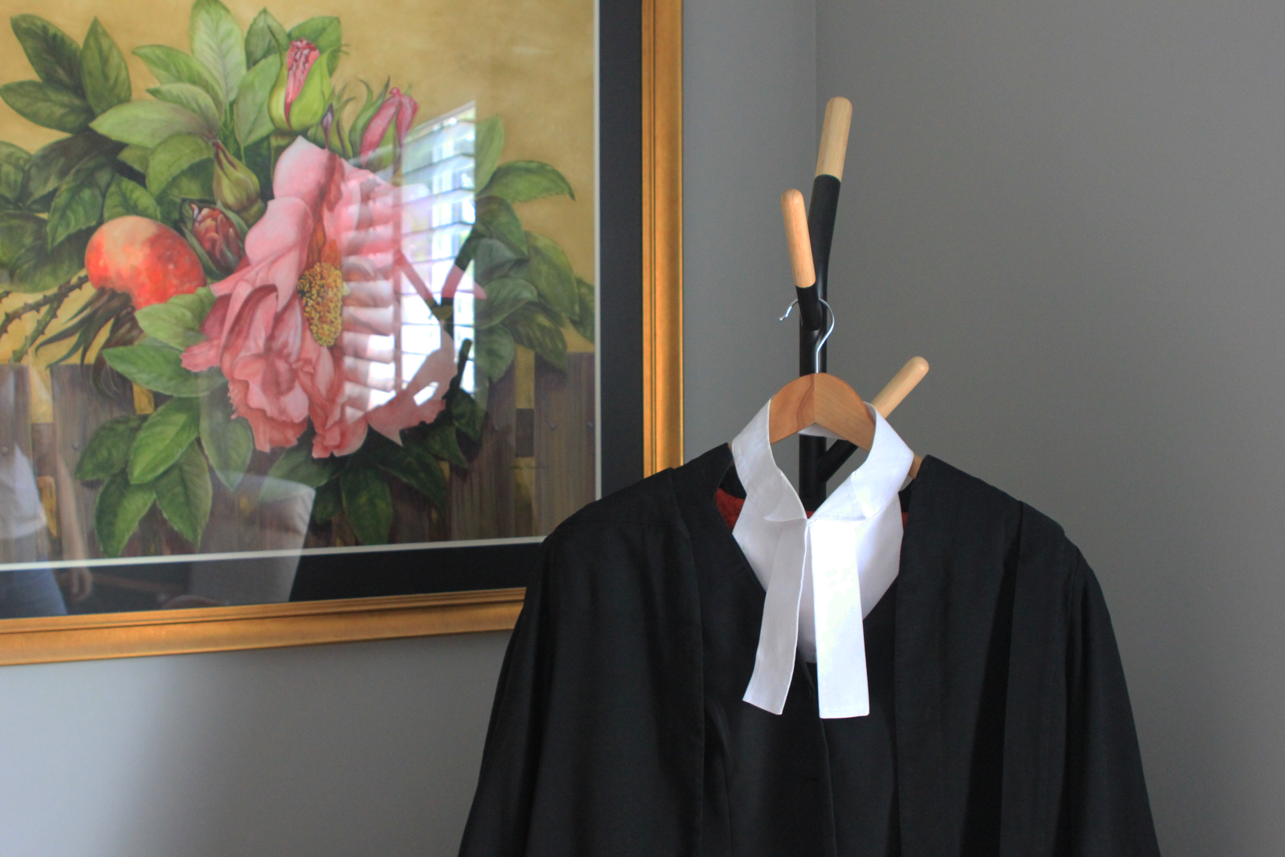 A judge's black robe with a white collar hanging on a wooden hanger on a coat rack, with a botanical painting of a pink flower and green leaves in the background.