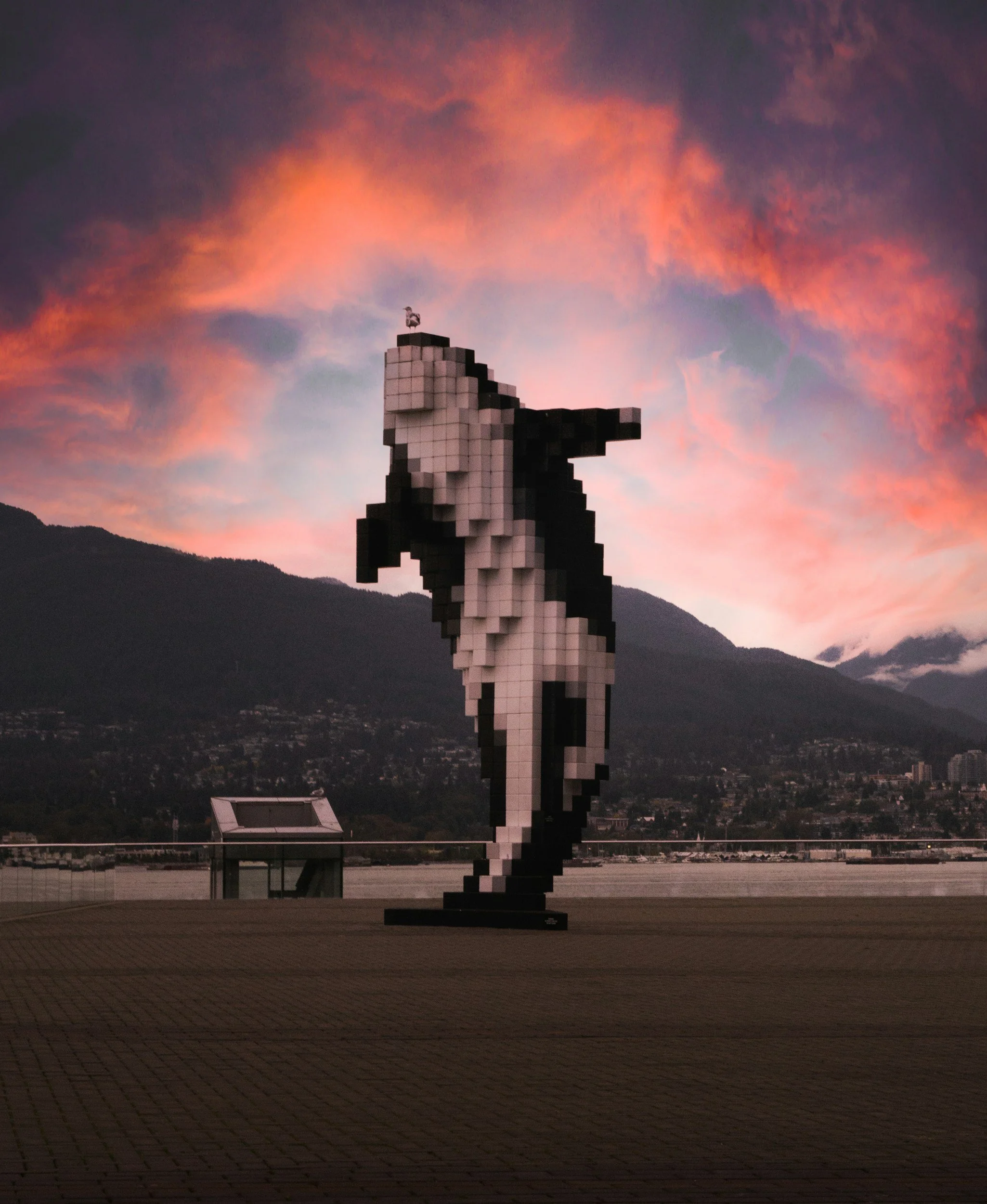 Digital Orca by Douglas Coupland at Vancouver Convention Centre at Night