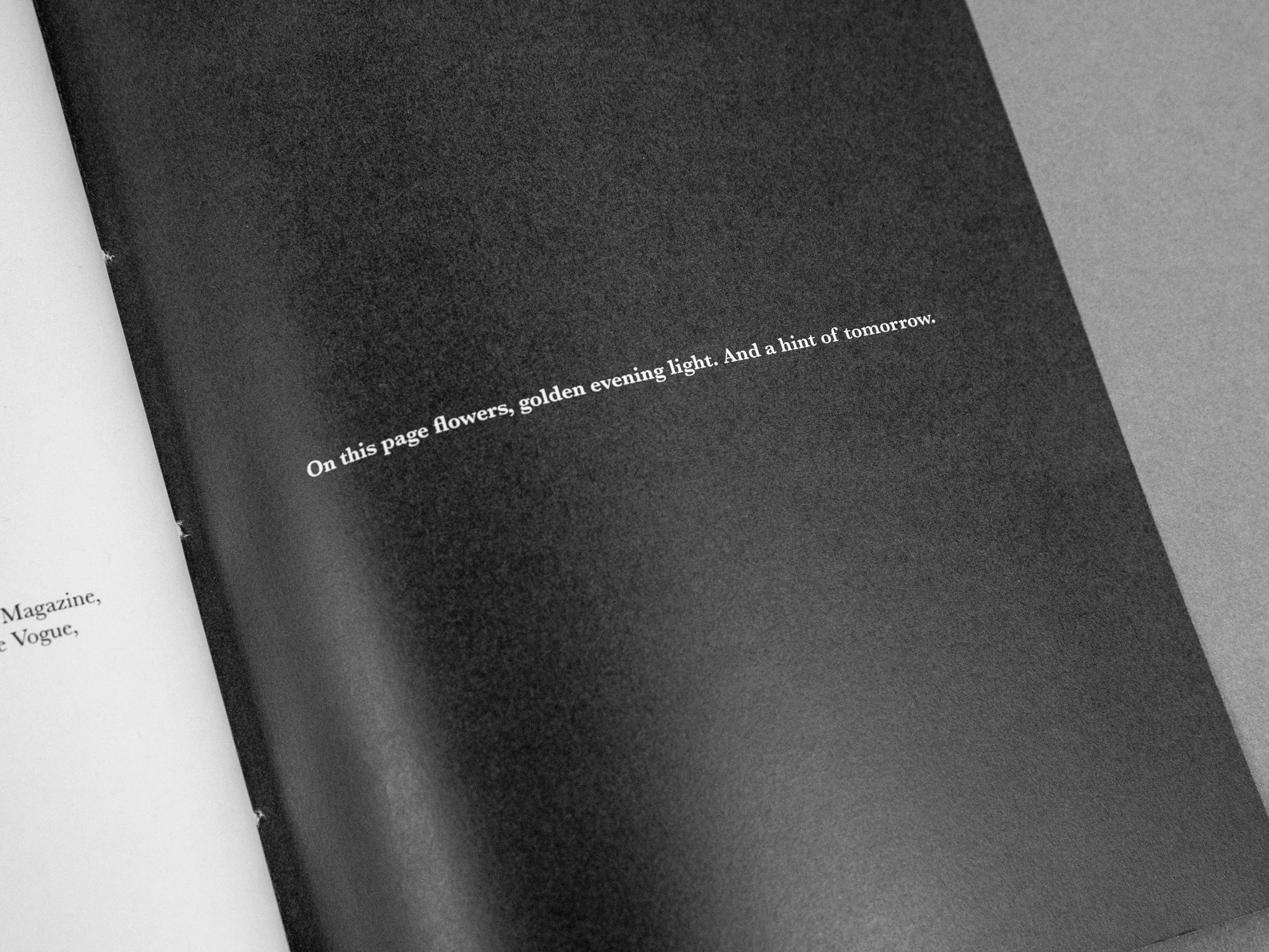 Photobookstore.nl Rotterdam (signed)