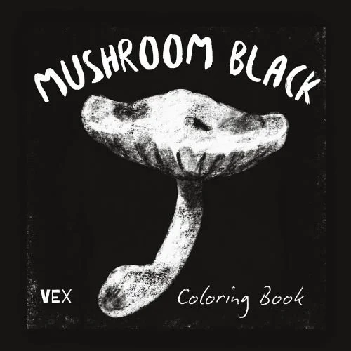 MUSHROOM BLACK