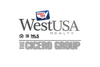 Lori Schlanger Logo