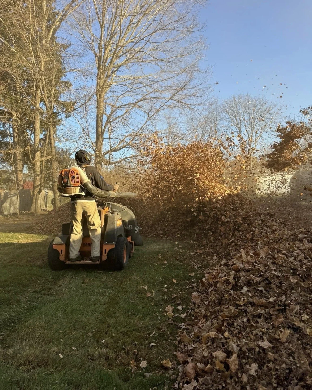 Person using leaf blower to clear fallen leaves in a backyard with trees and blue sky.