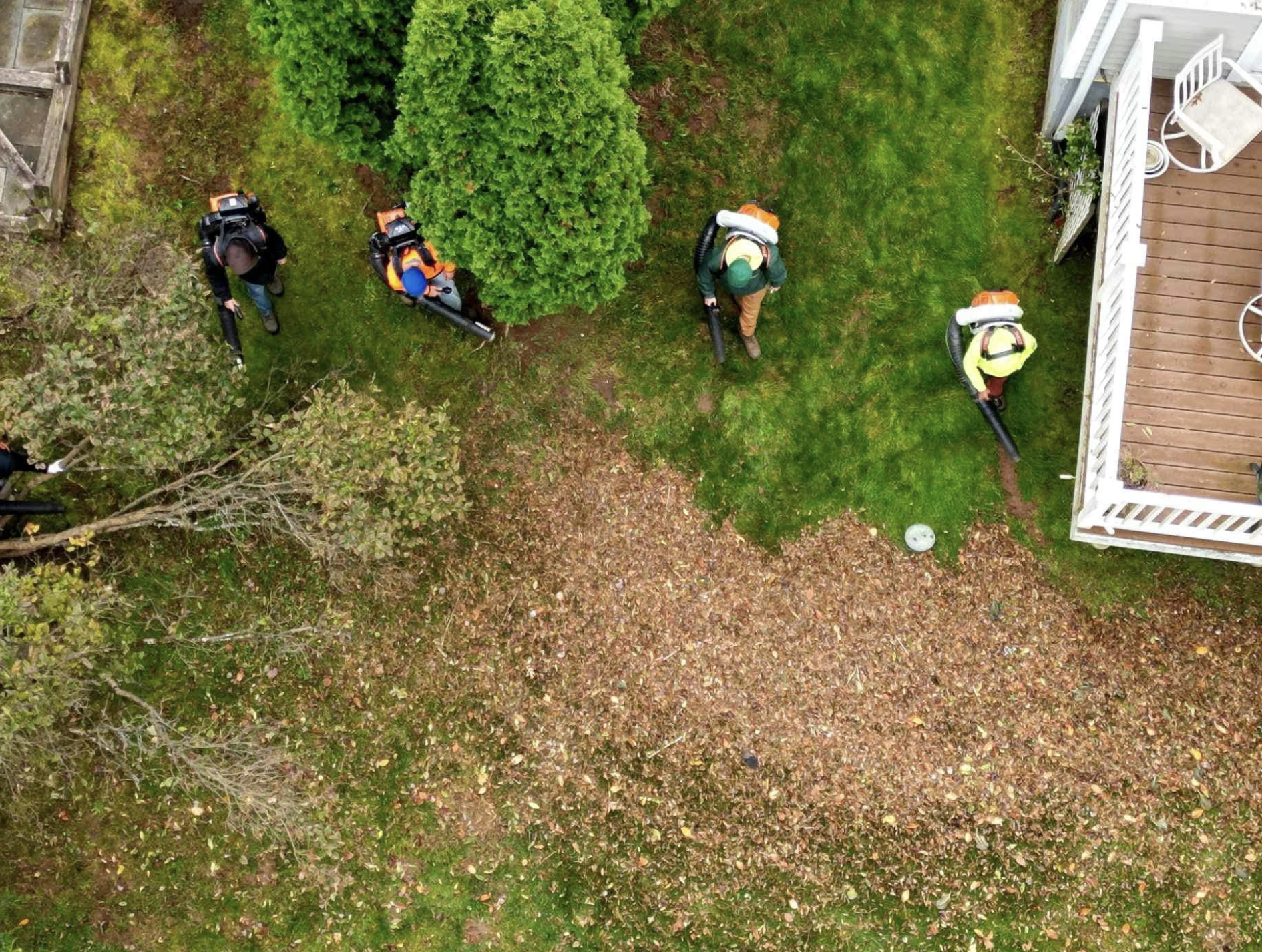 Four workers wearing safety gear blowing leaves on a backyard lawn, viewed from above, with a porch on the right side.