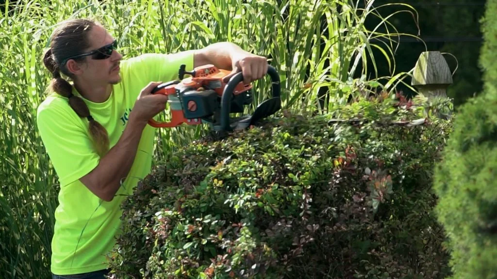 A man in a neon green shirt and sunglasses trimming a large bush with a powered hedge trimmer in a garden with tall grass and trees in the background.