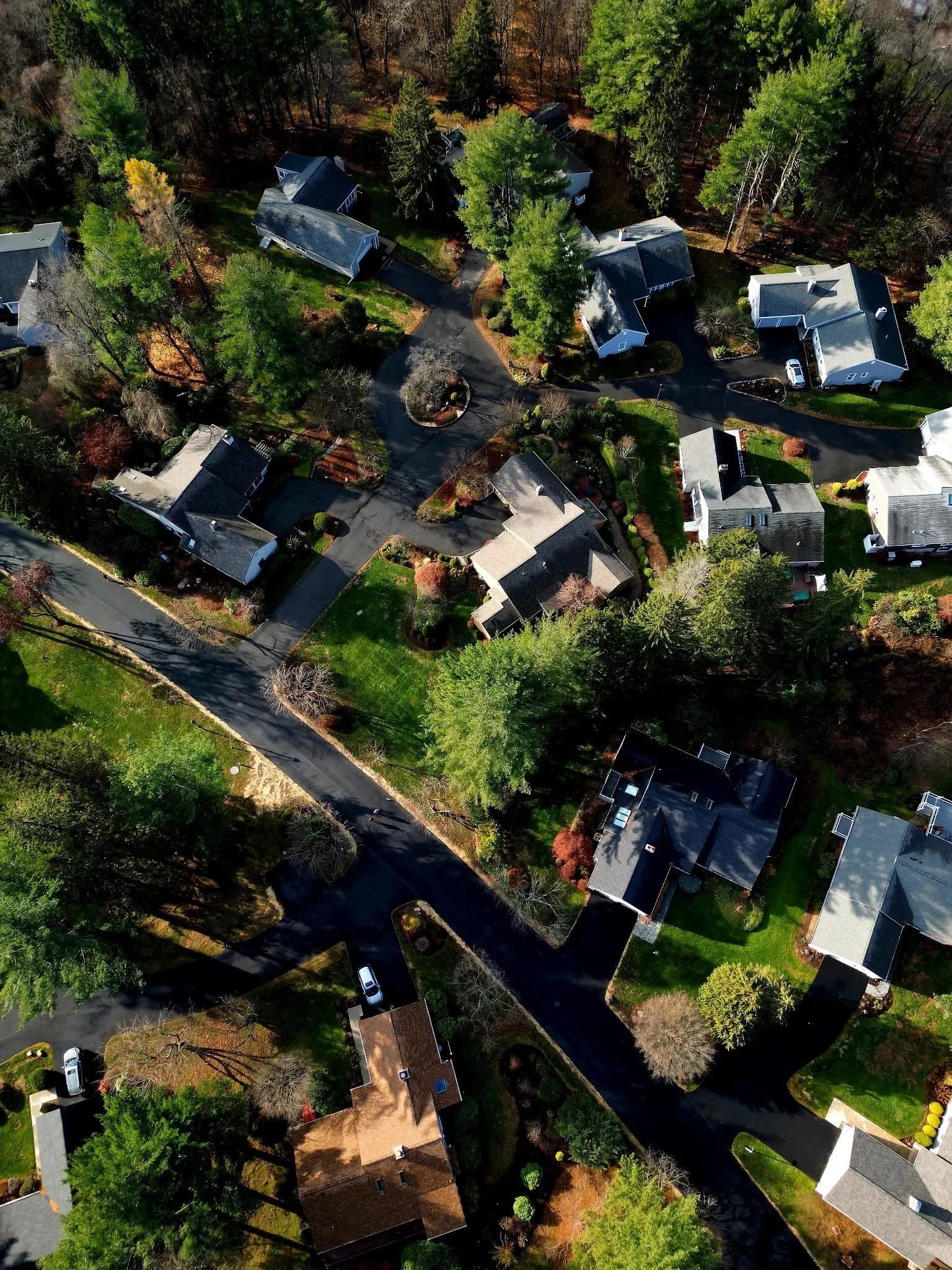 An aerial view of a suburban neighborhood with houses, trees, and winding streets.