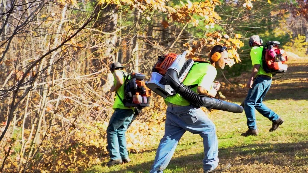Three workers wearing bright green shirts and protective gear, including headphones and helmets, clearing leaves and debris from a wooded area with fall foliage.
