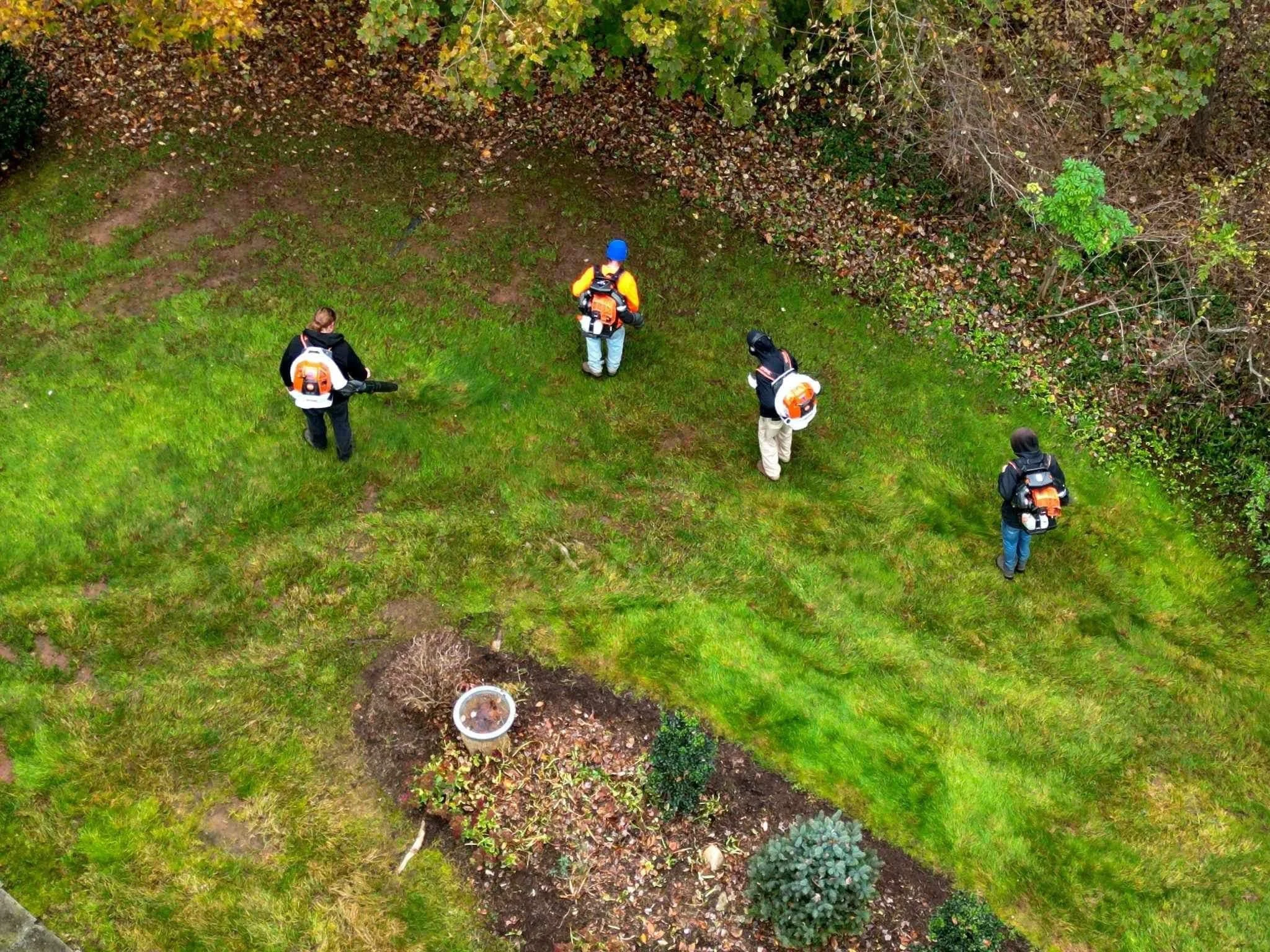 Aerial view of five people walking on a grassy area near a garden with bushes and trees.