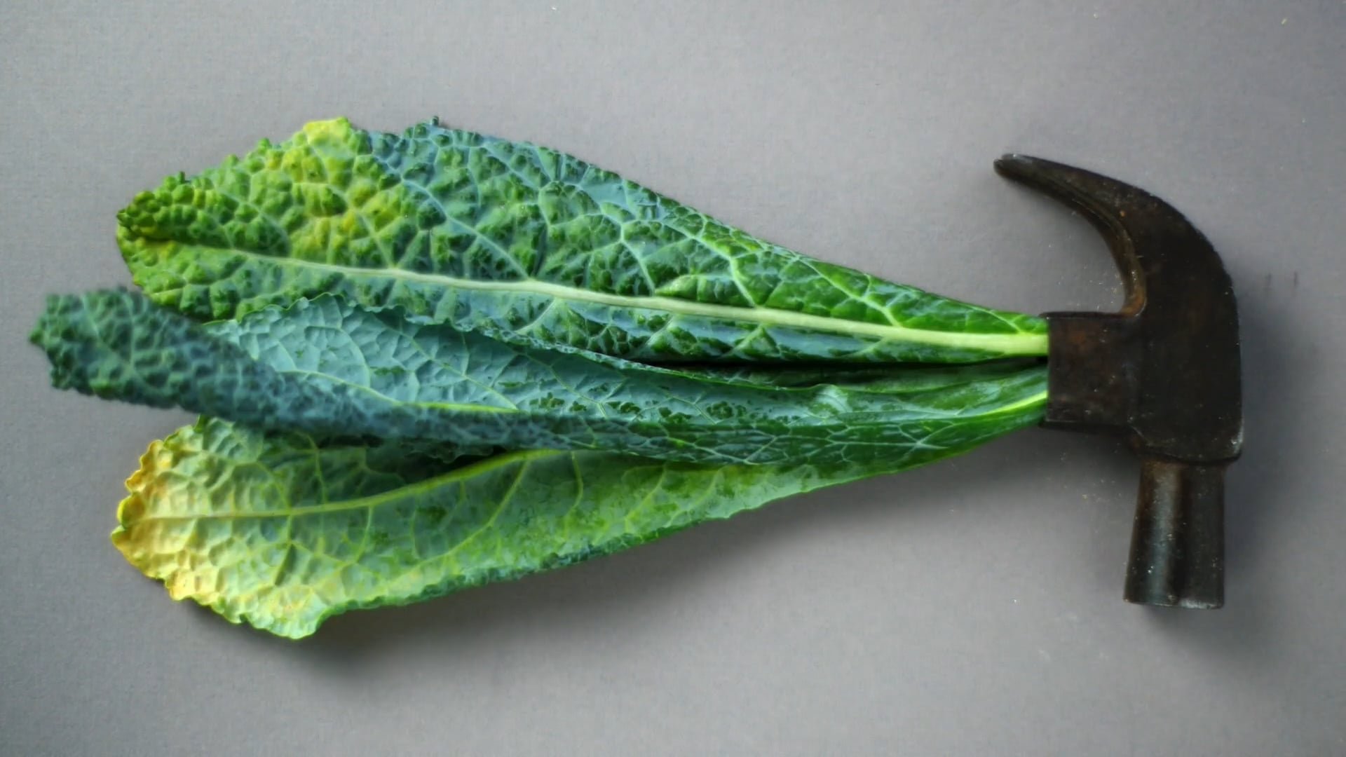 The New Institute / Mission Film