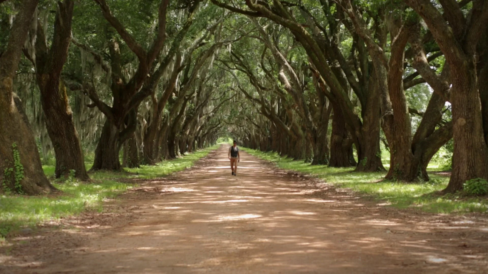 Le Chemin De L'integrite
