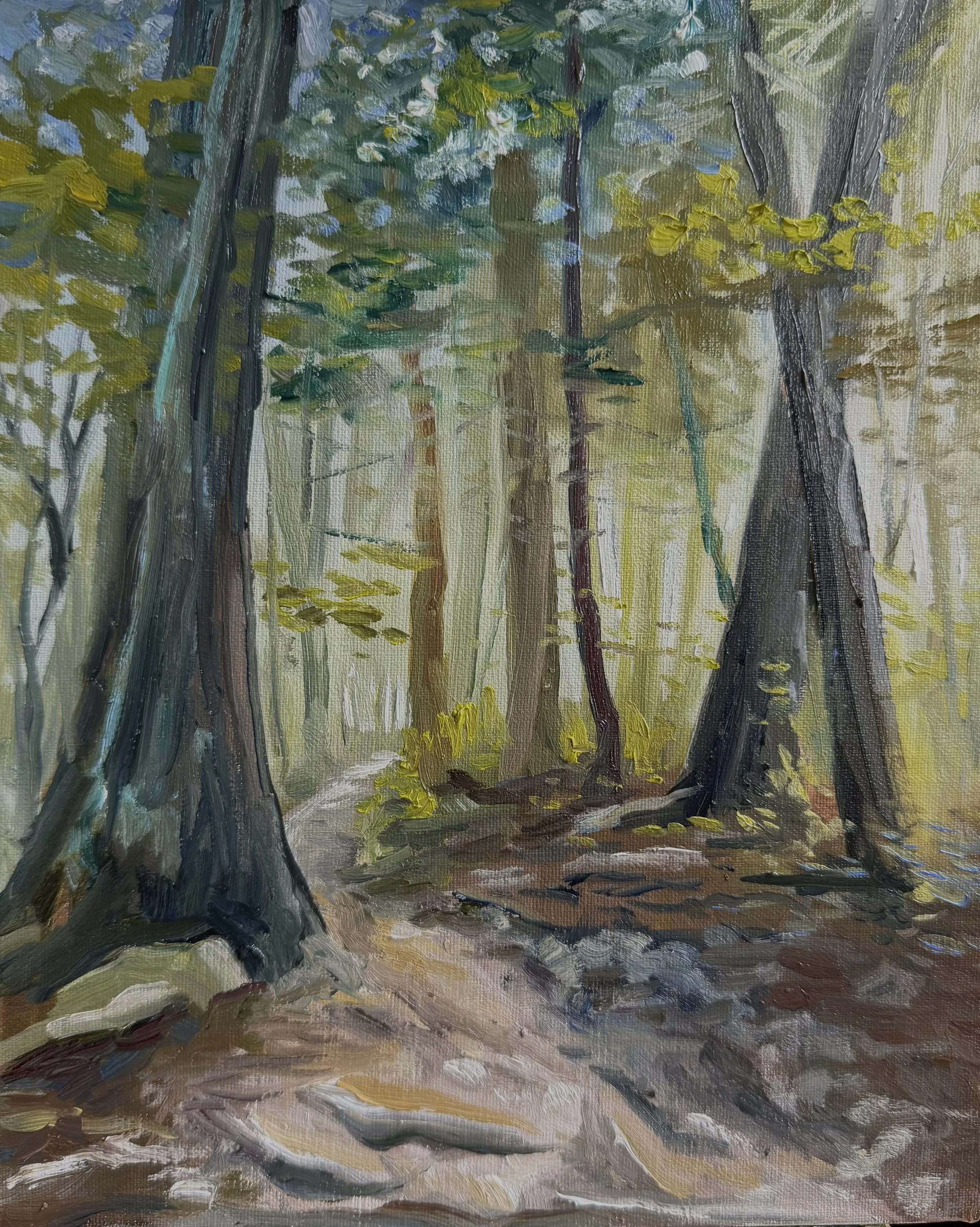 AVAILABLE, "Foggy Morning on the MTS Trail" 8x10, framed, "$375 