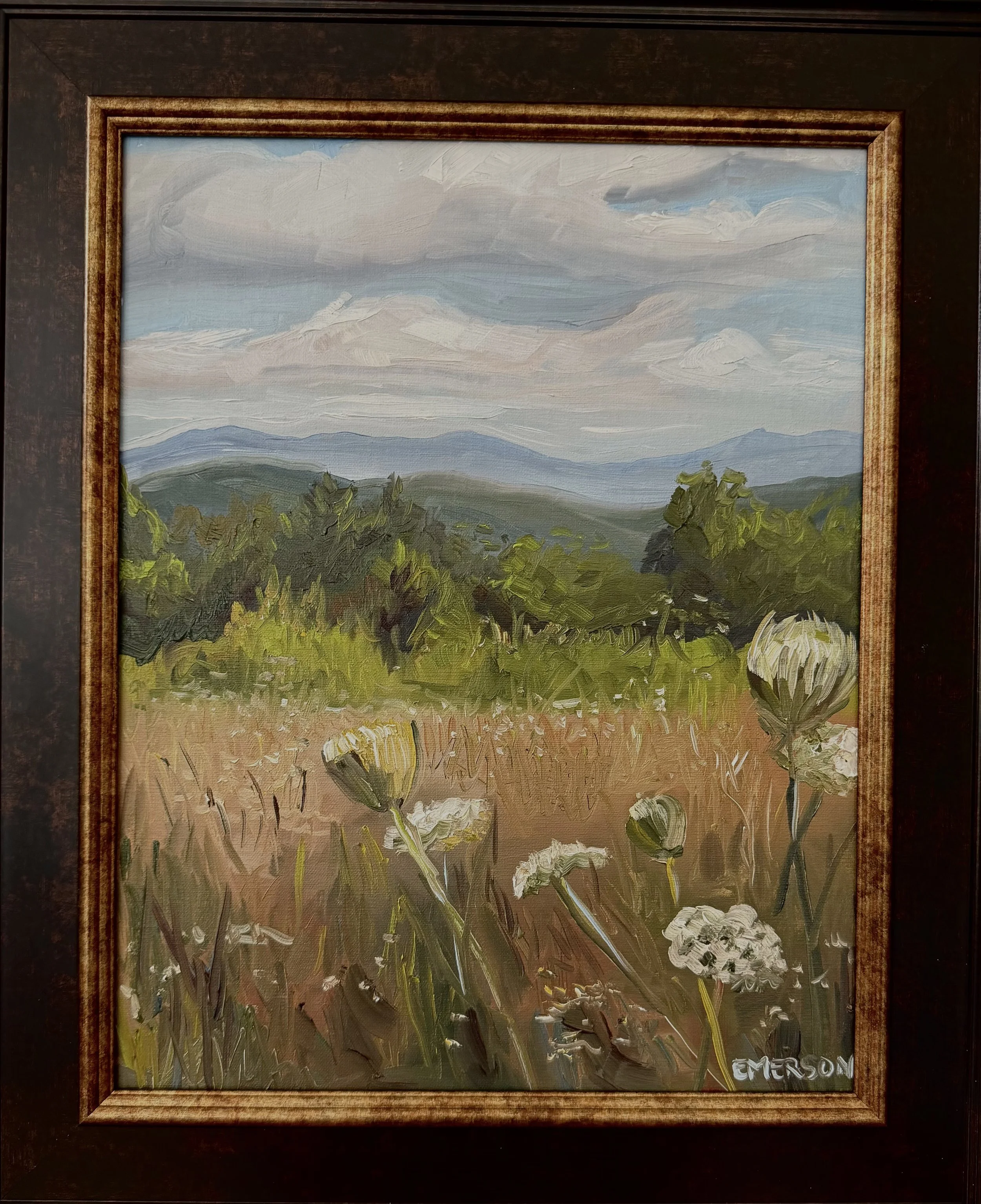 SOLD, "Queen Anne's Lace on Strawberry Gap" 11x14 oil on panel, framed