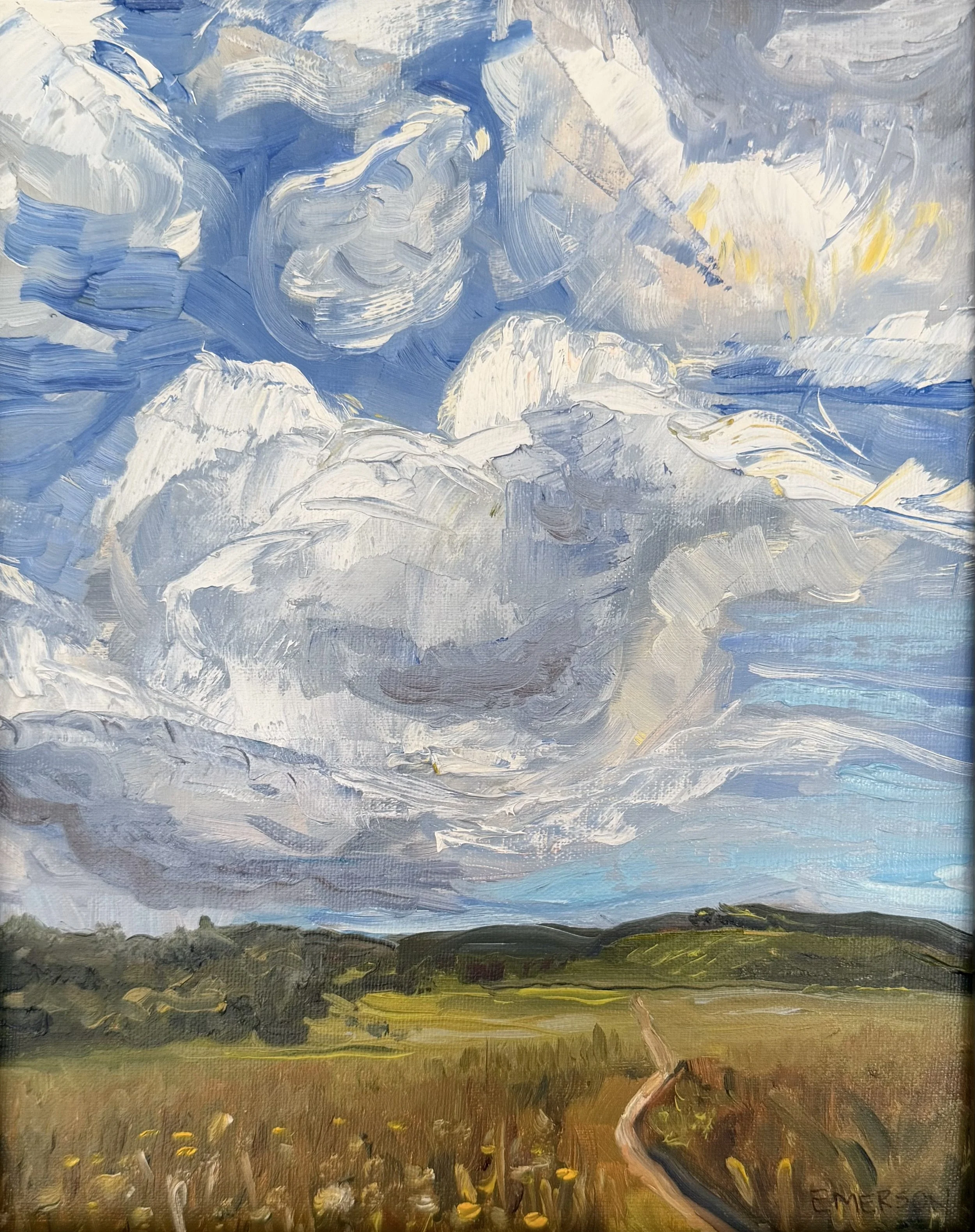 SOLD, "August at Black Balsam" 8x10