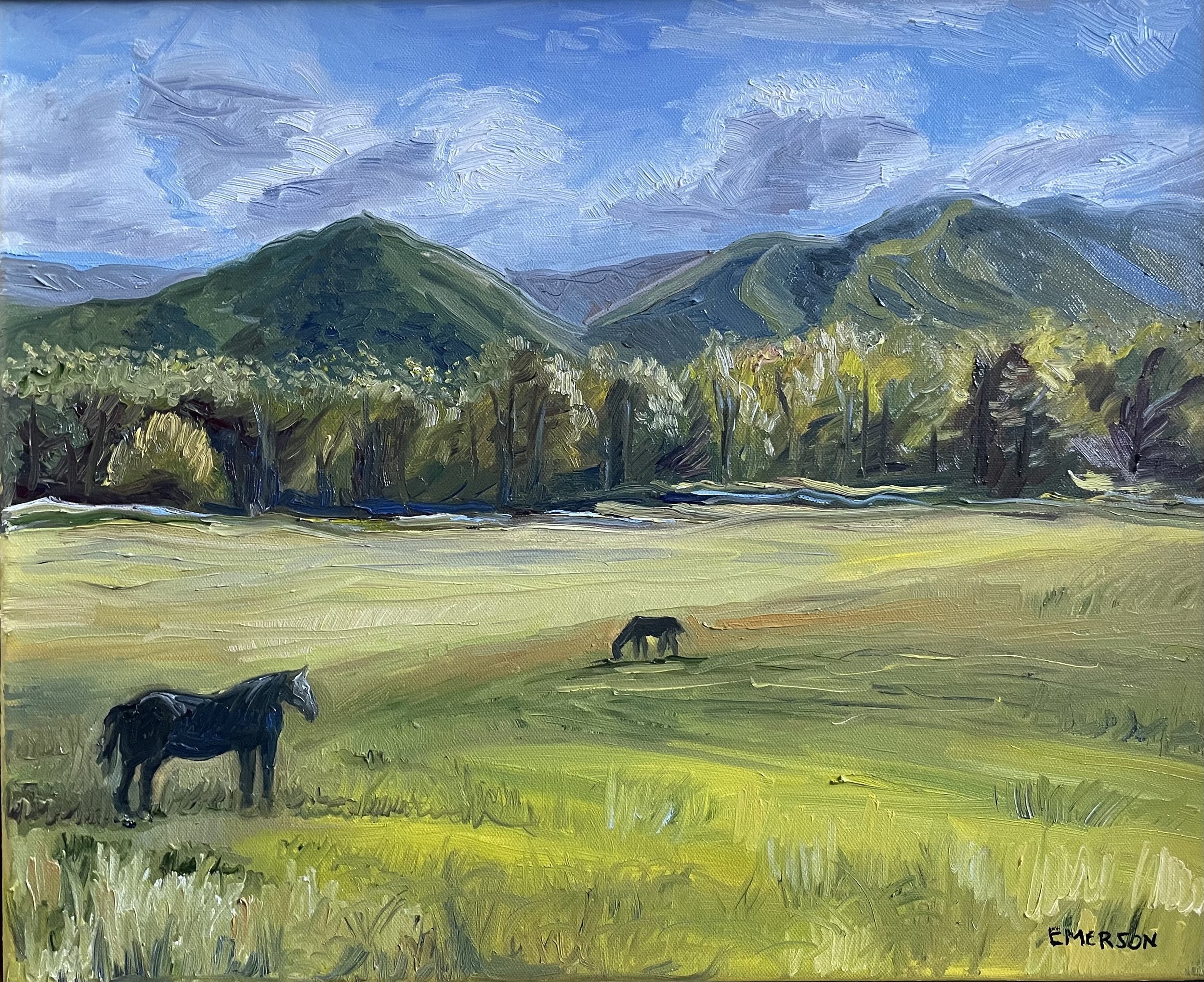 AVAILABLE, "Cades Cover Meander" 20x16 oil on canvas, framed, $120