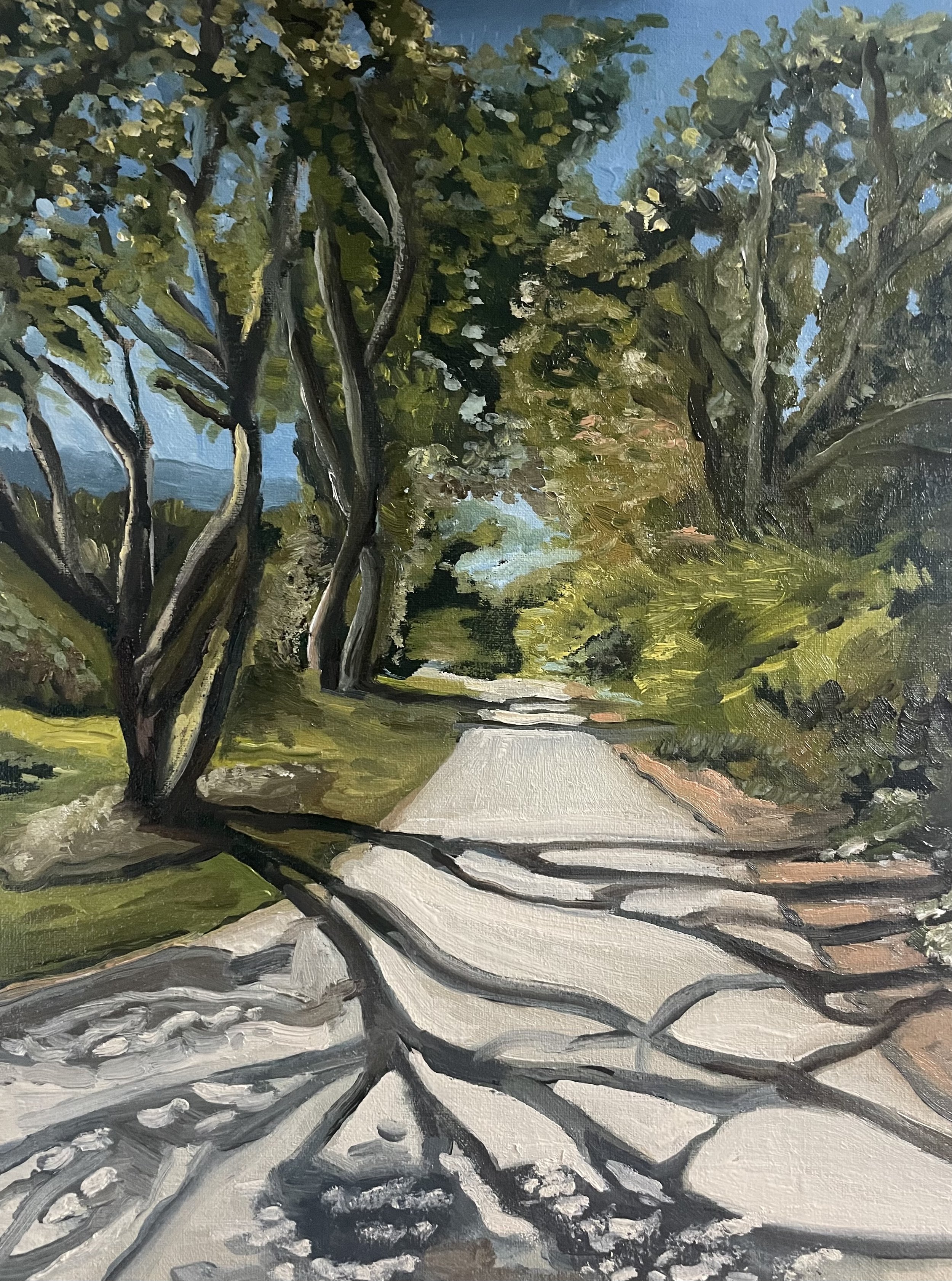 "Morning Sentinels" 12x16 oil on linen panel