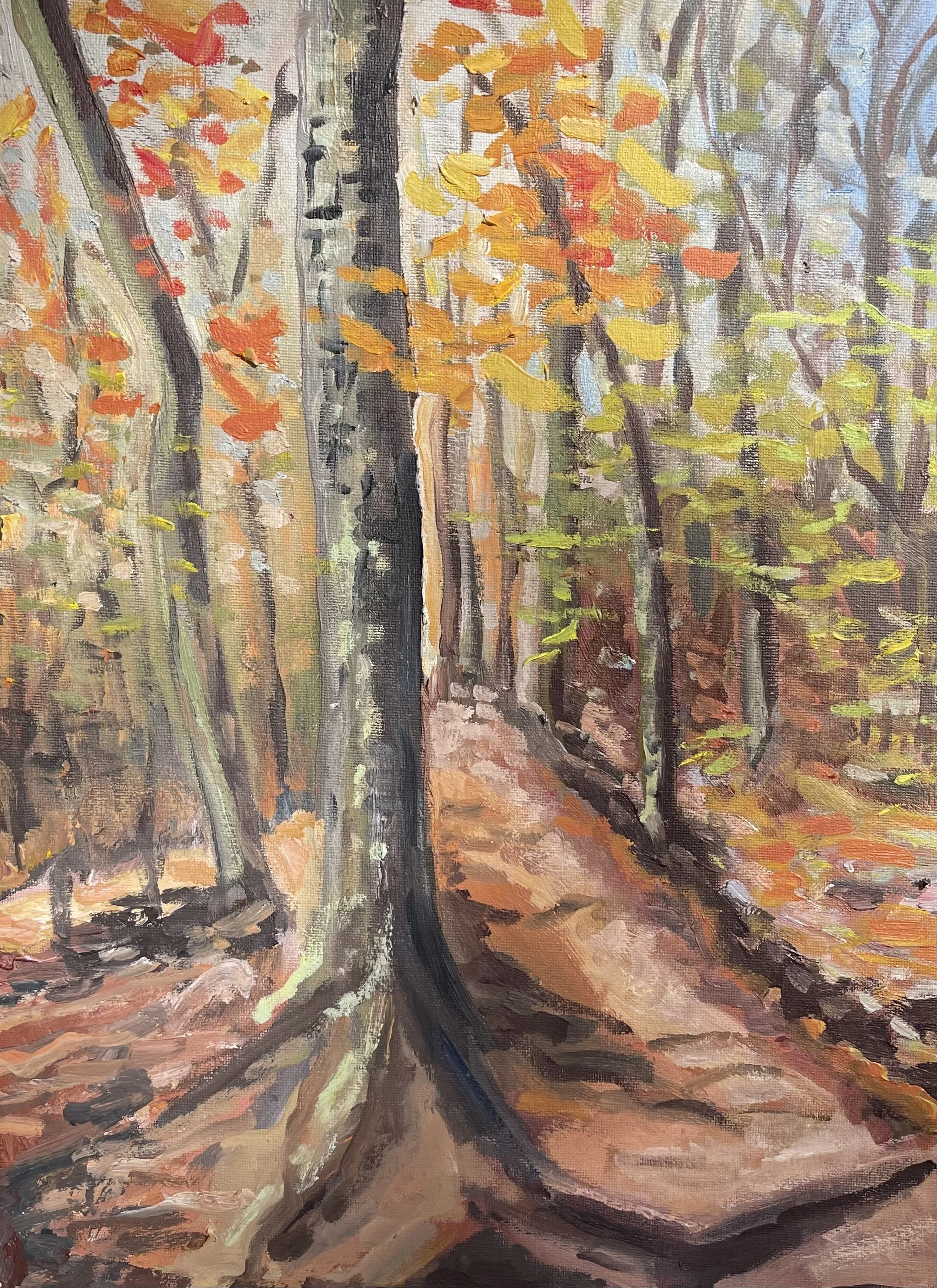 "Arb Fall 1" 12x16 oil on linen panel