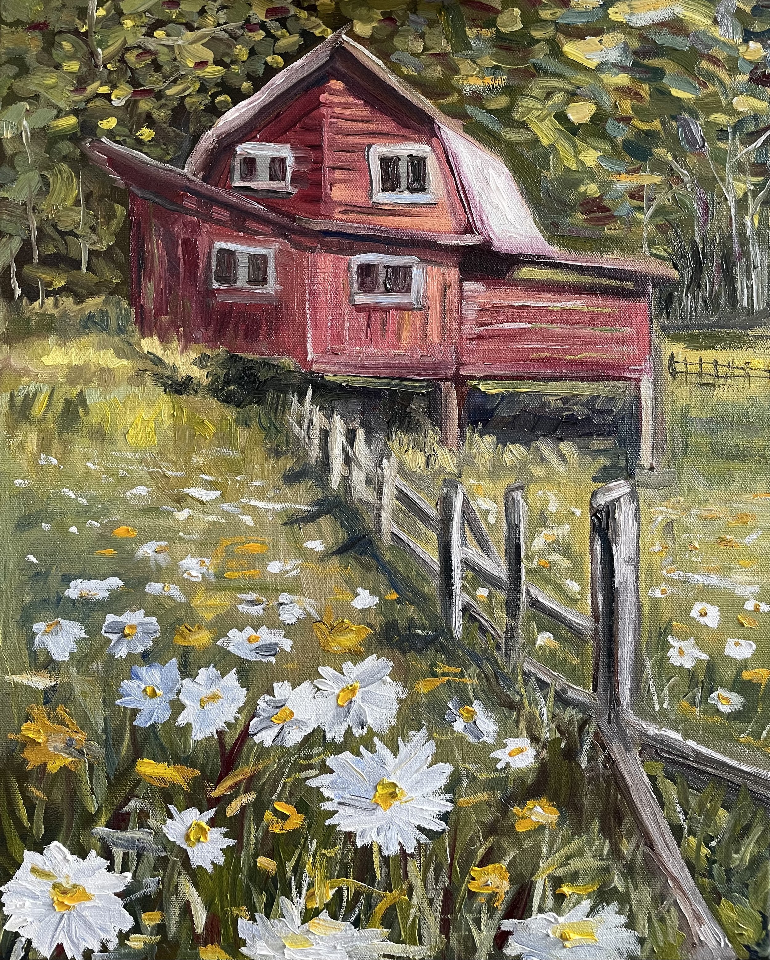 SOLD, "Backroad Daisies" 16x20 oil on canvas
