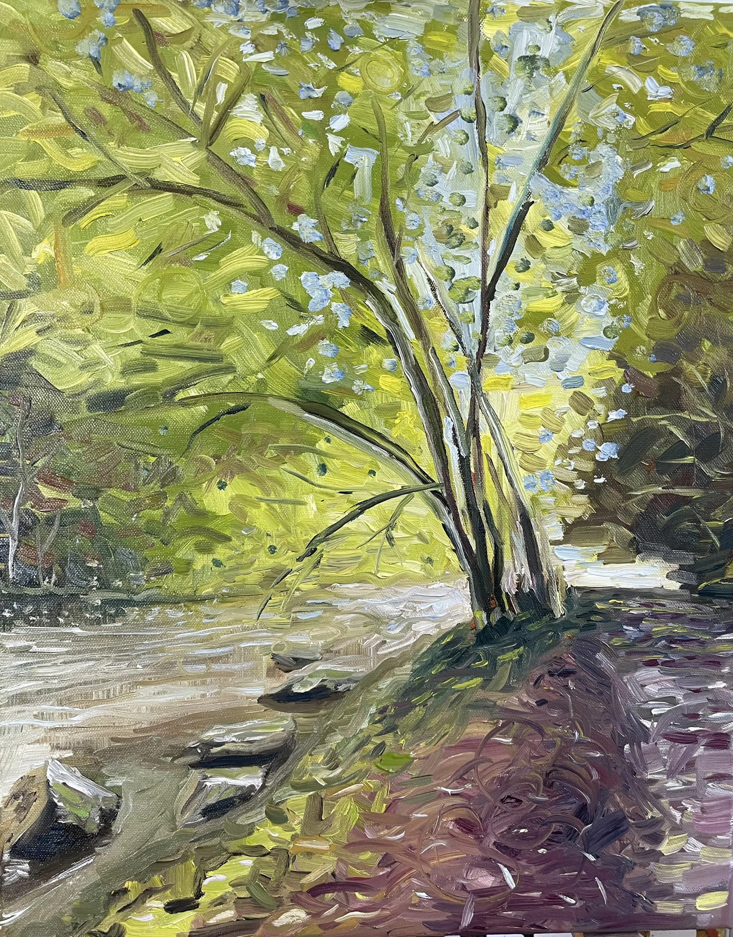 "Laurel Creek" 16x20 oil on canvas