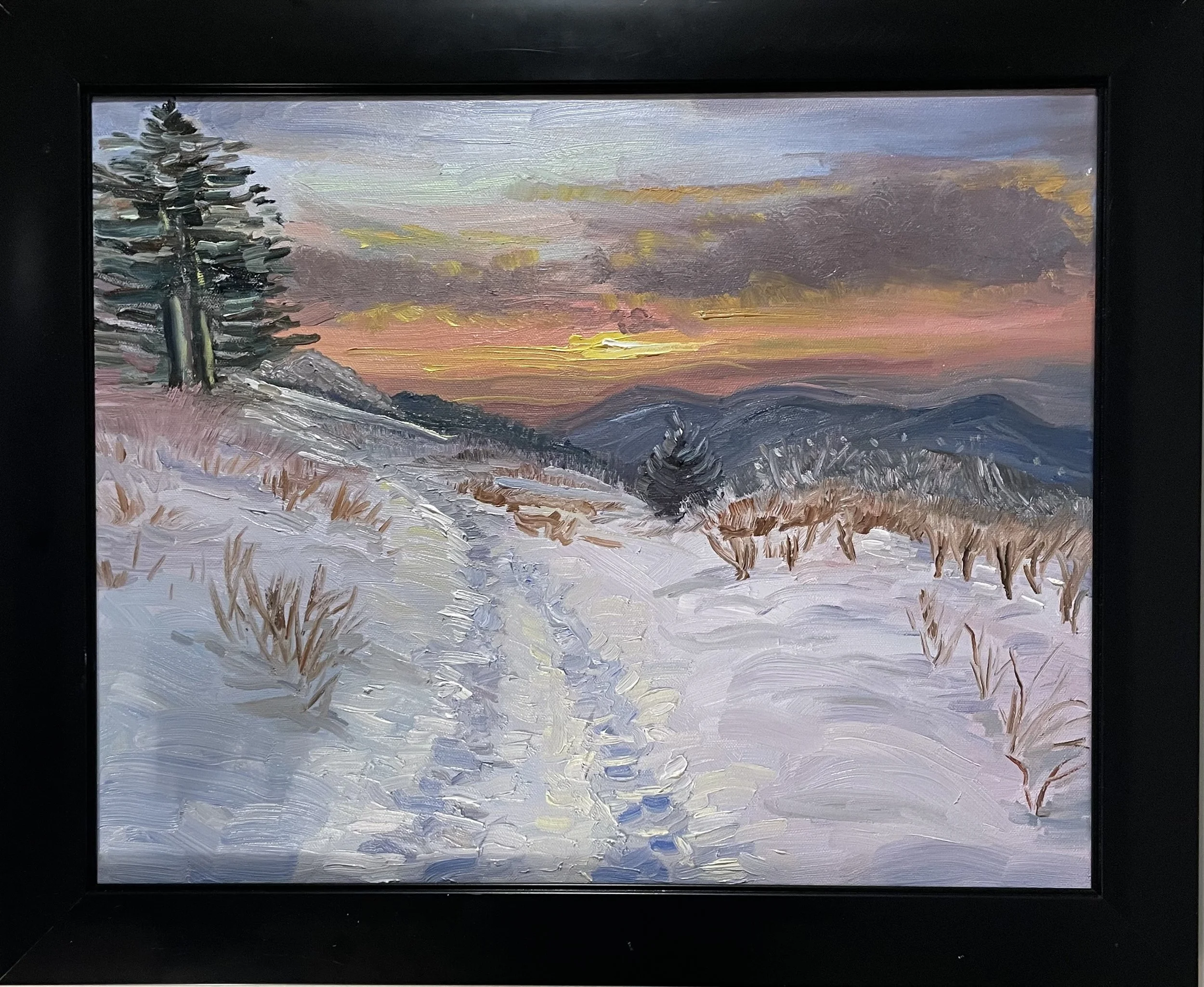SOLD "Roan Mountain Snow Shoe" 20x16 oil on canvas