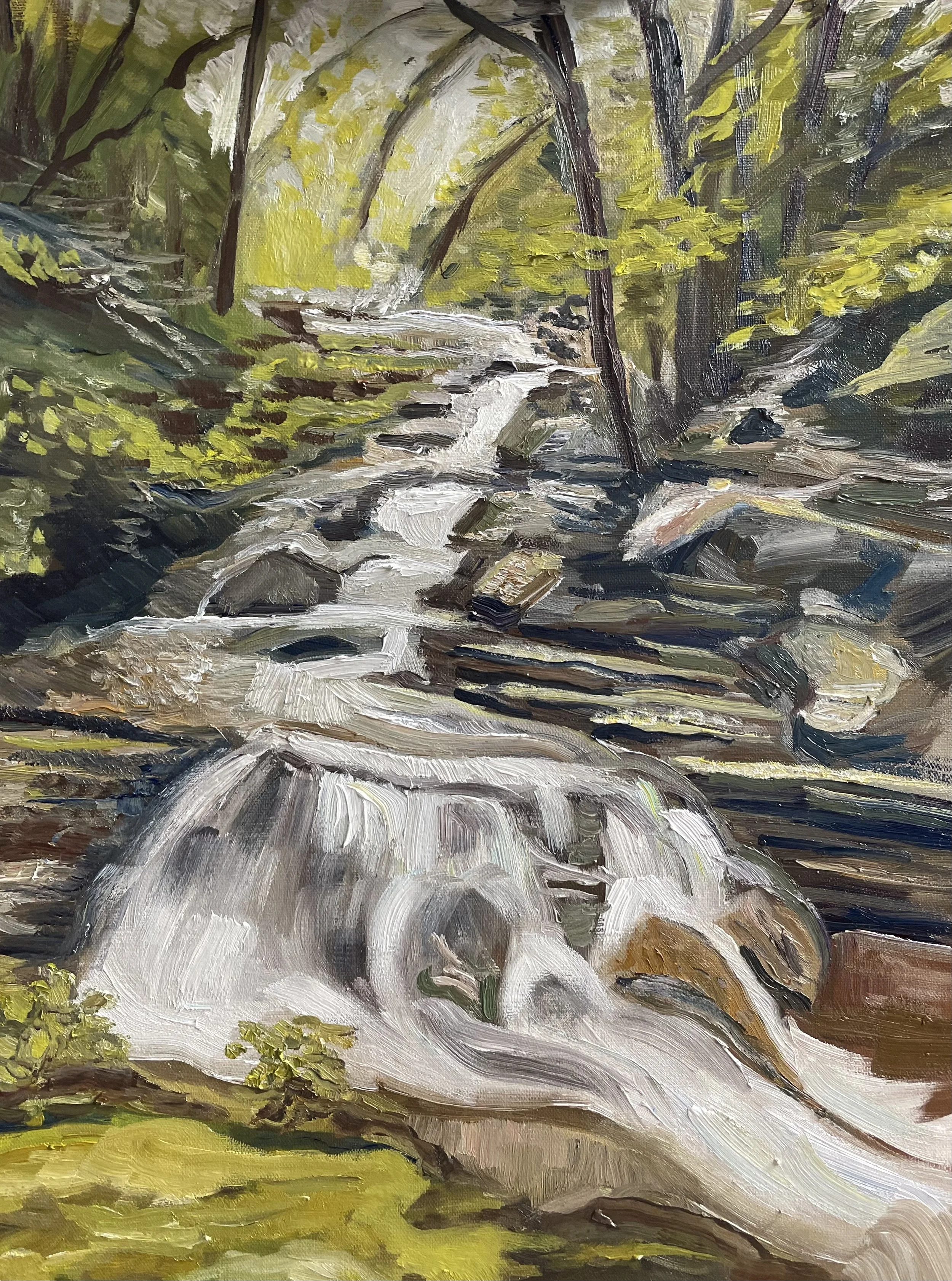 AVAILABLE, "Skinny Dip Falls" 12x16 oil on linen panel, framed, $140