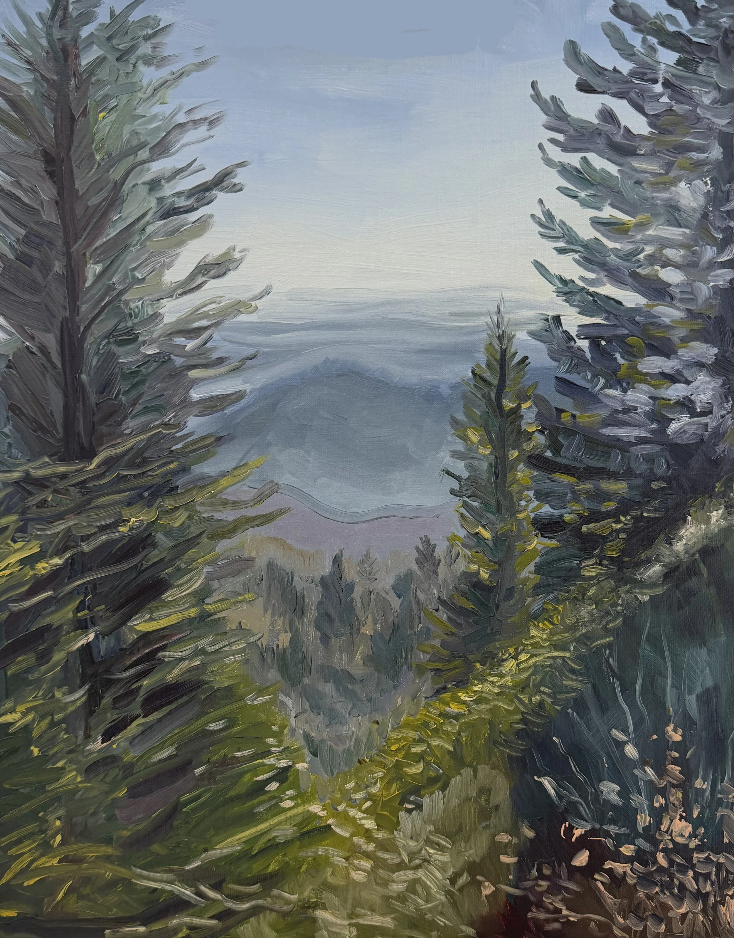 SOLD, "Pisgah Overlook" 16x20 oil on panel