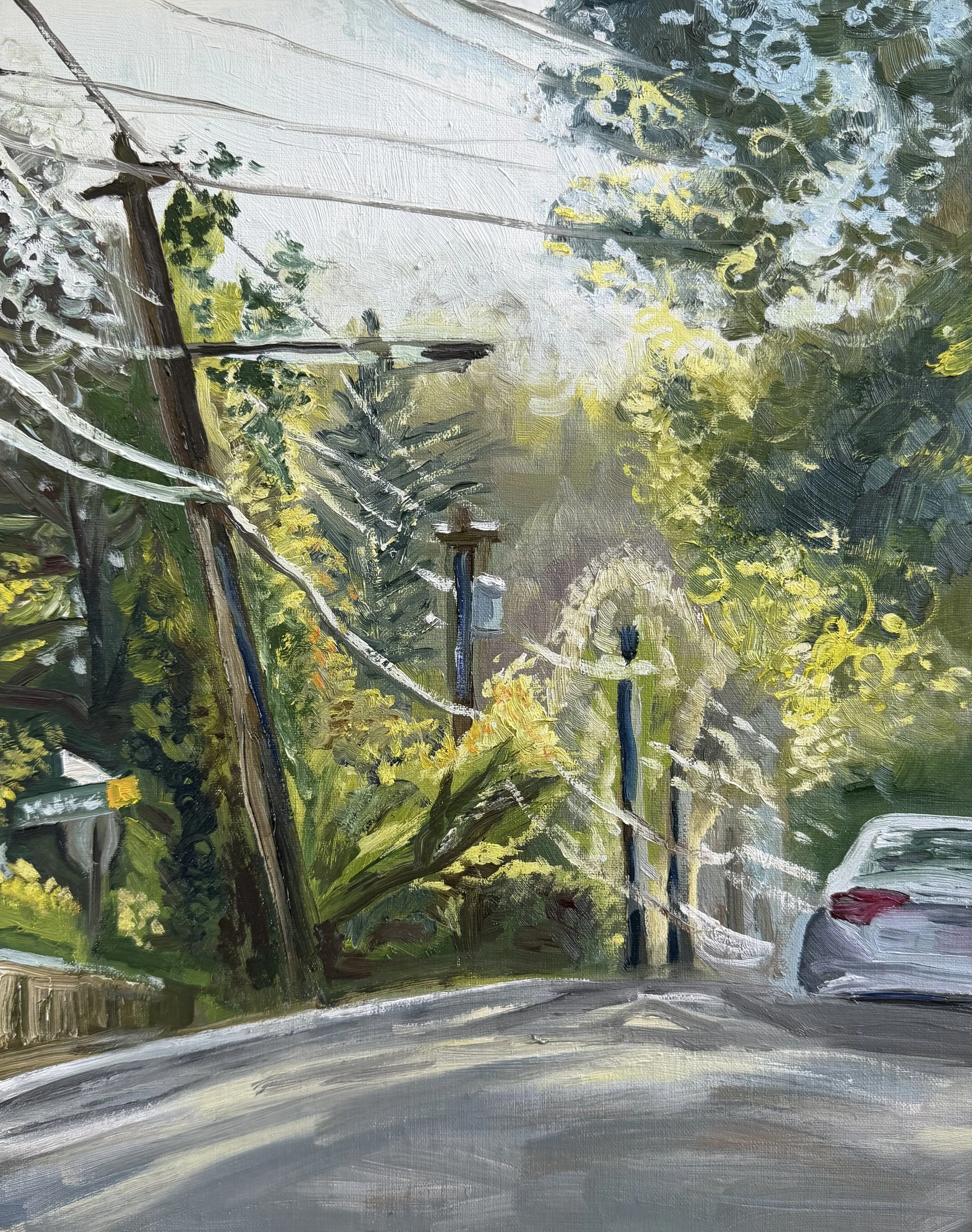 AVAILABLE, "Crooked Poles of North Asheville" 11x14, $120